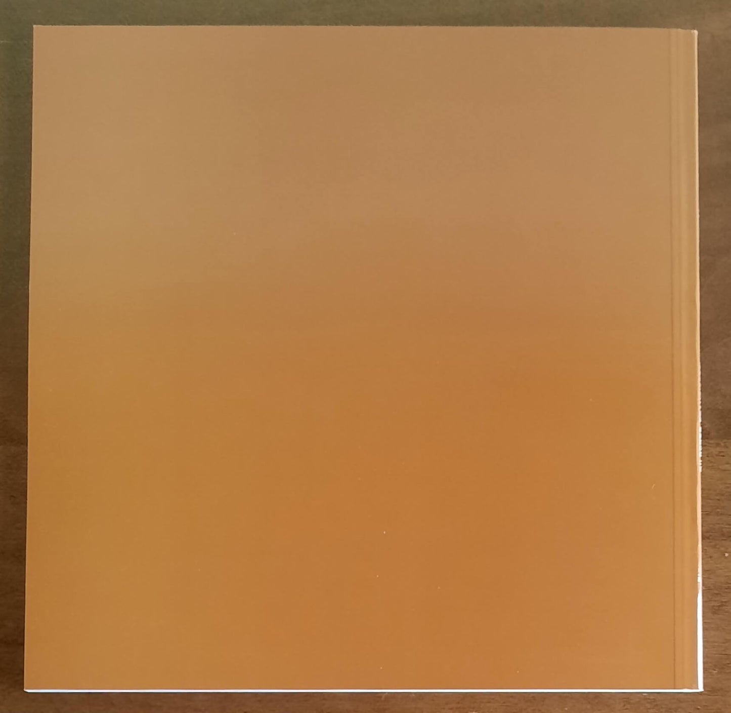 Angoli di Salussola visti da Gilberto Francisetti