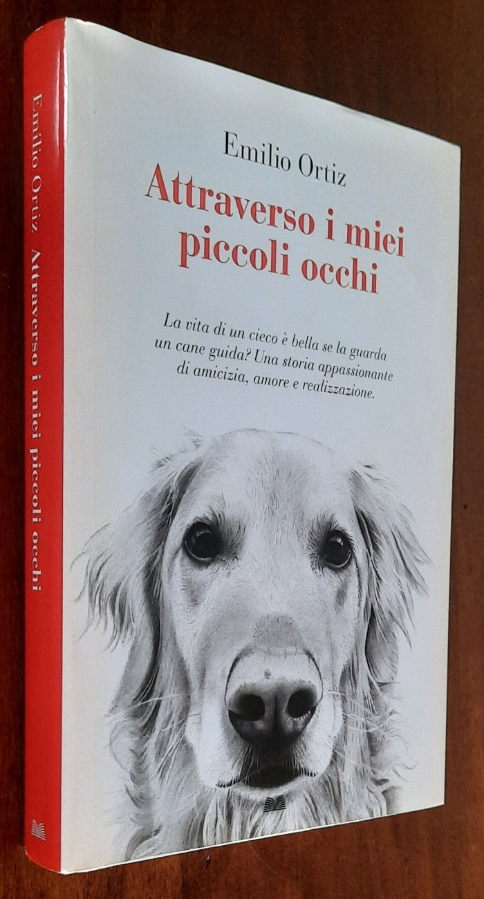 Attraverso i miei piccoli occhi - di Emilio Ortiz