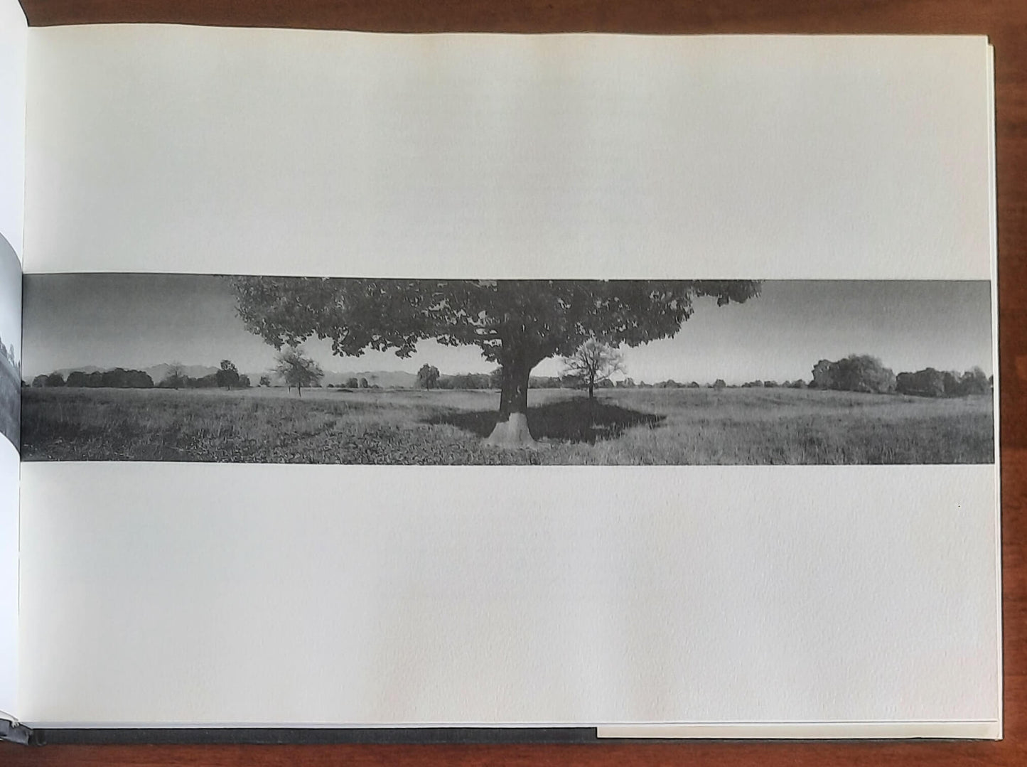 Baraggia - di Aldo Sola e Fabrizio Lava - Eventi & Progetti Editore