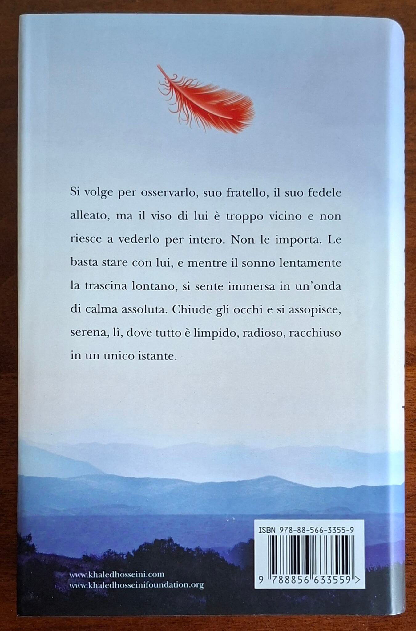 E l’eco rispose - di Khaled Hosseini - Piemme
