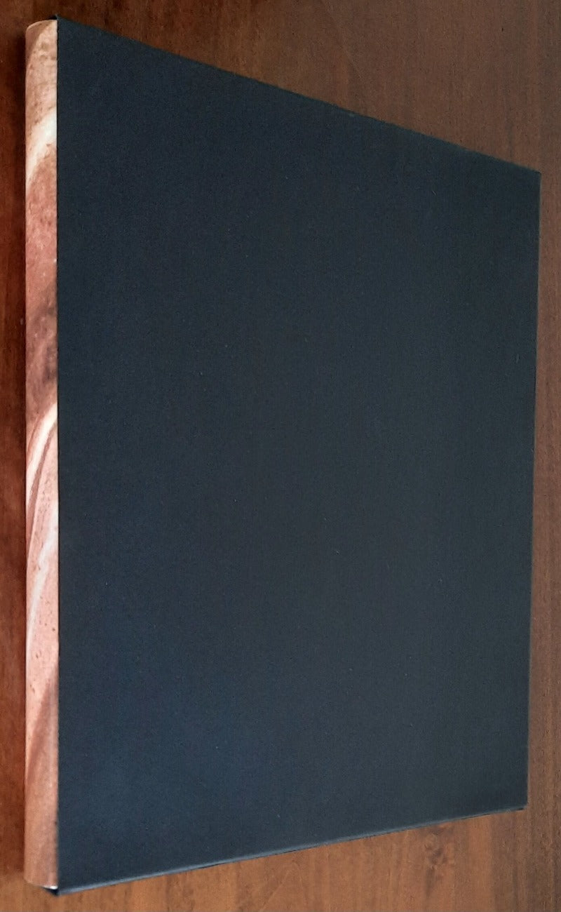 I Medici a Firenze. Un’officina di cultura europea