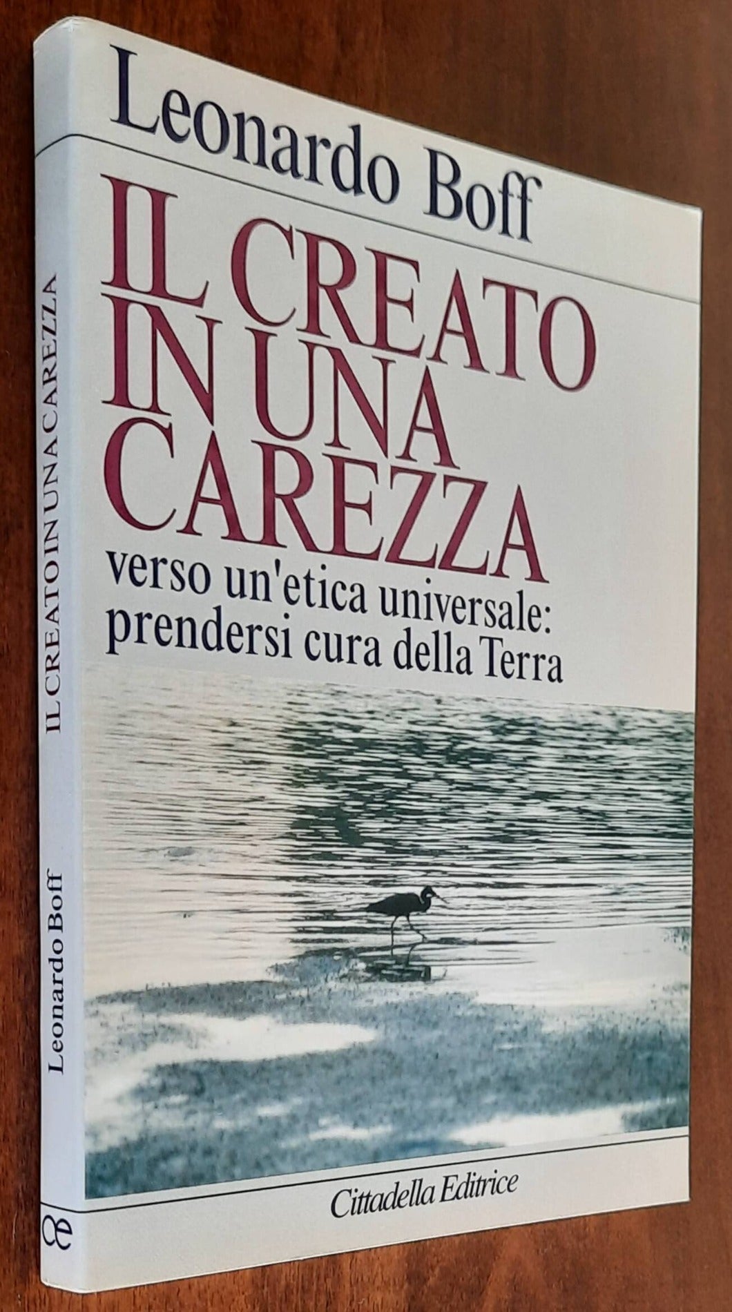 Il creato in una carezza. Verso un’etica universale: prendersi cura della Terra