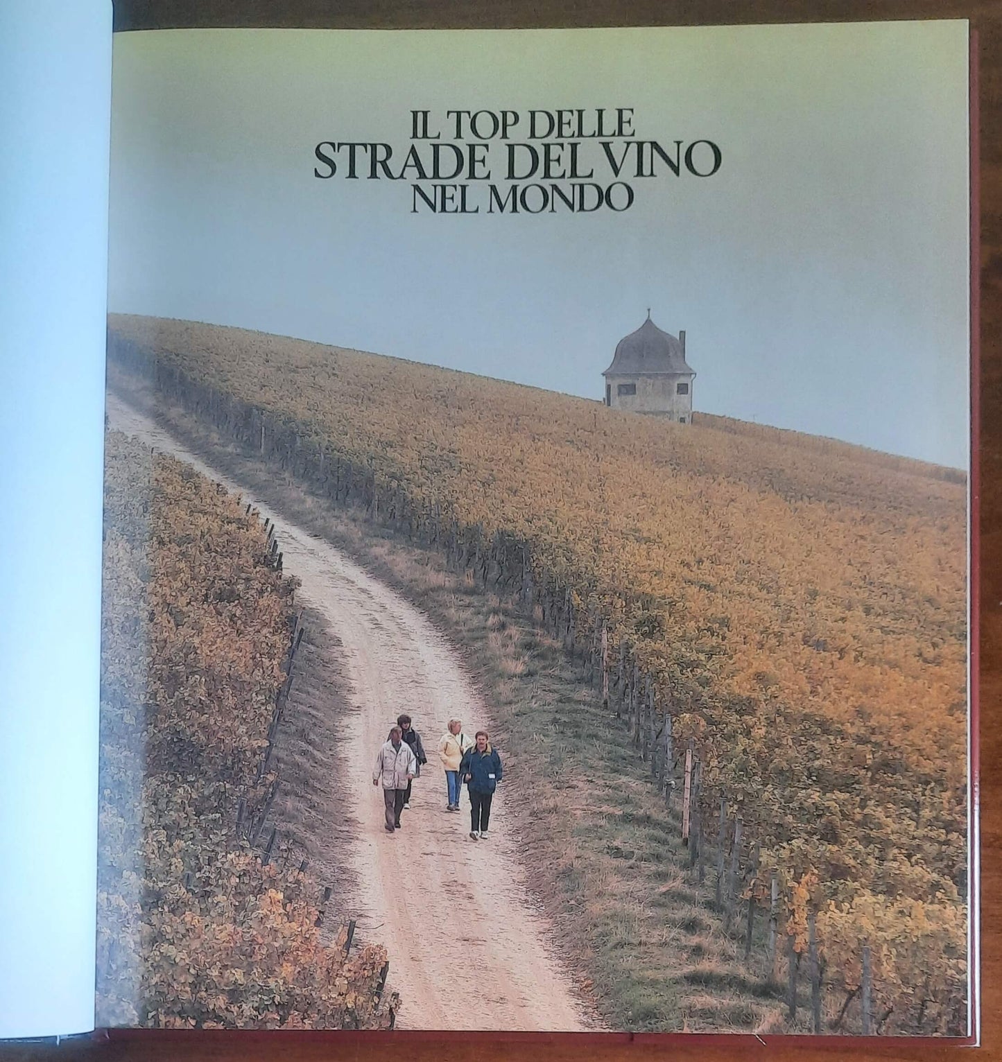 Il top delle strade del vino nel mondo - De Agostini