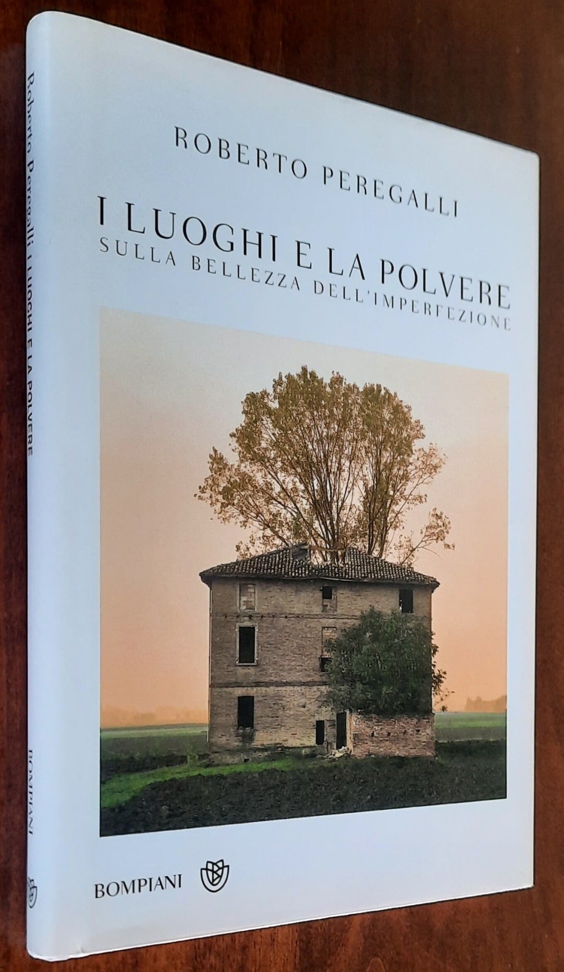 I luoghi e la polvere. Sulla bellezza dell’imperfezione - Bompiani