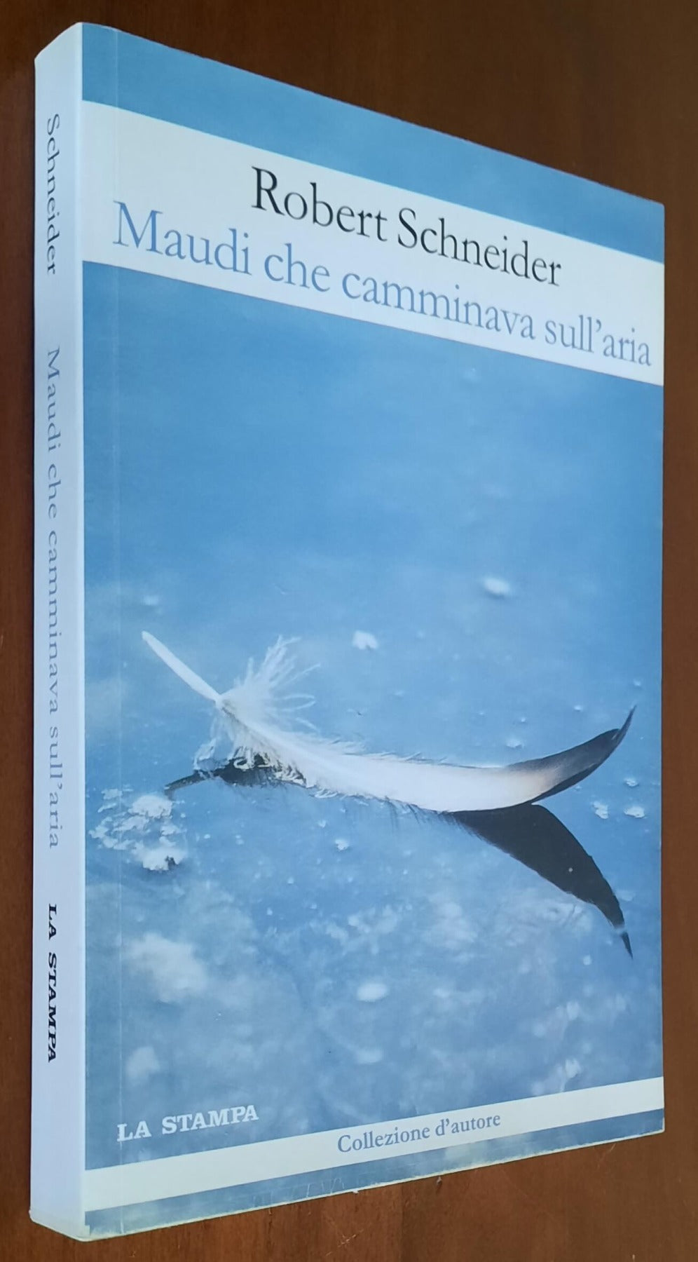 Maudi che camminava sull’aria - di Robert Schneider