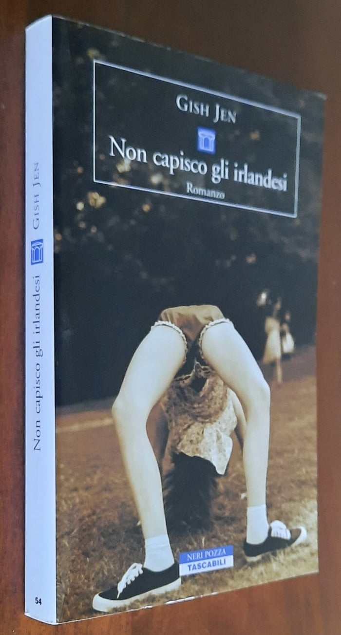 Non capisco gli irlandesi - Neri Pozza