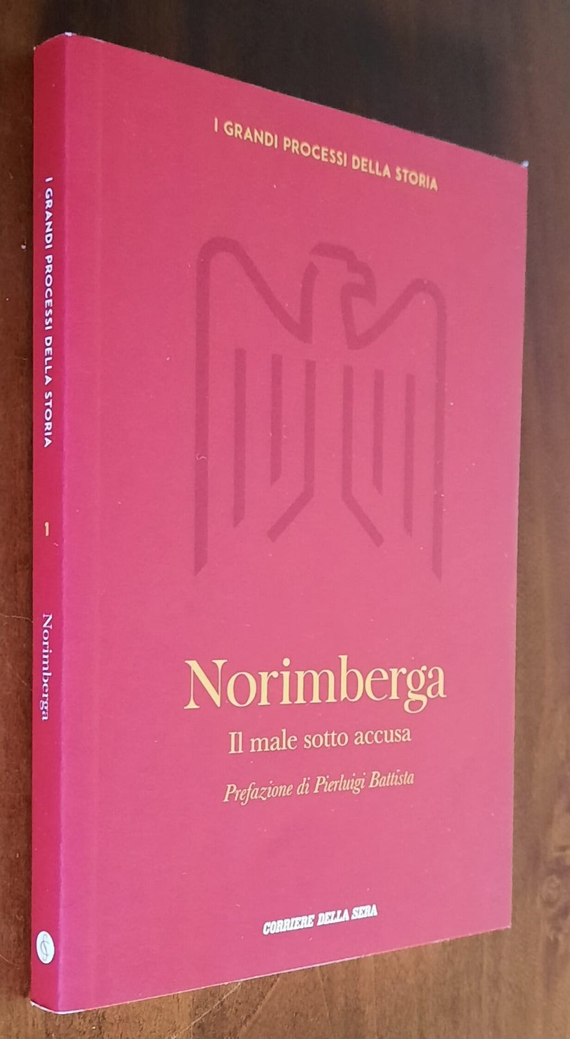 Norimberga. Il male sotto accusa