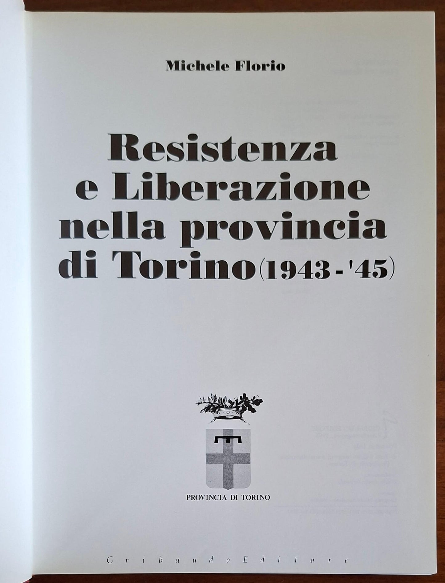 Resistenza e Liberazione nella provincia di Torino (1943-'45)