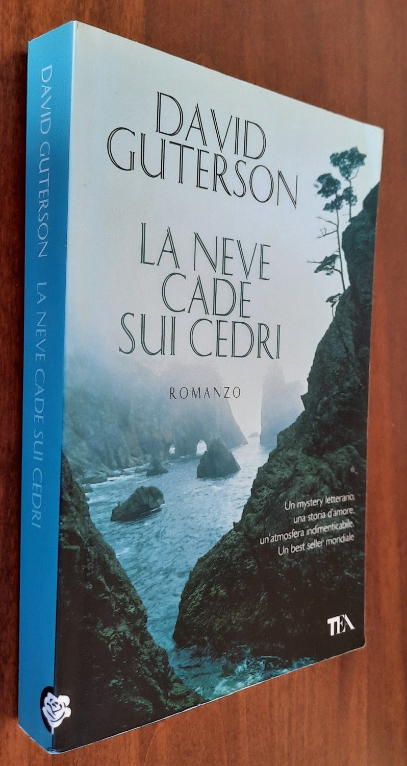 La neve cade sui cedri - Libreria Biellese