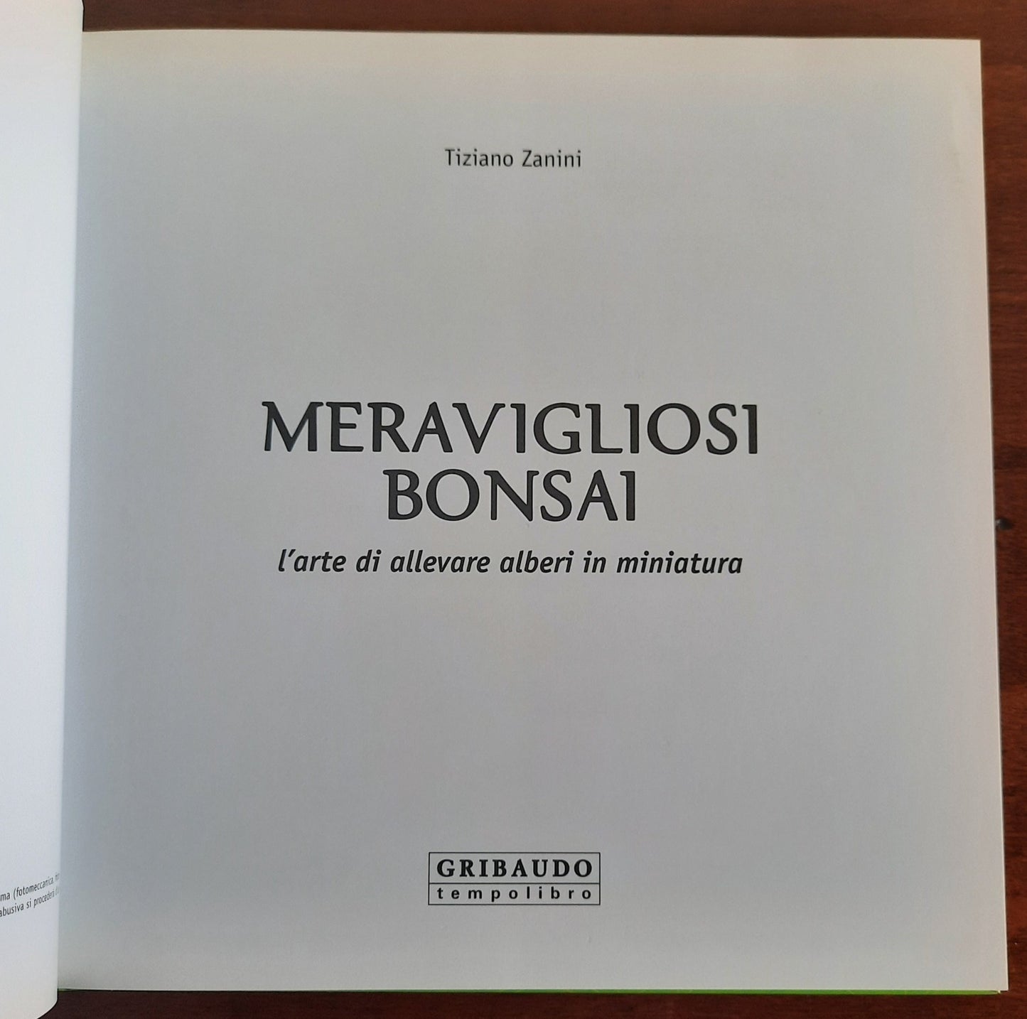 Meravigliosi bonsai, l’arte di allevare alberi in miniatura