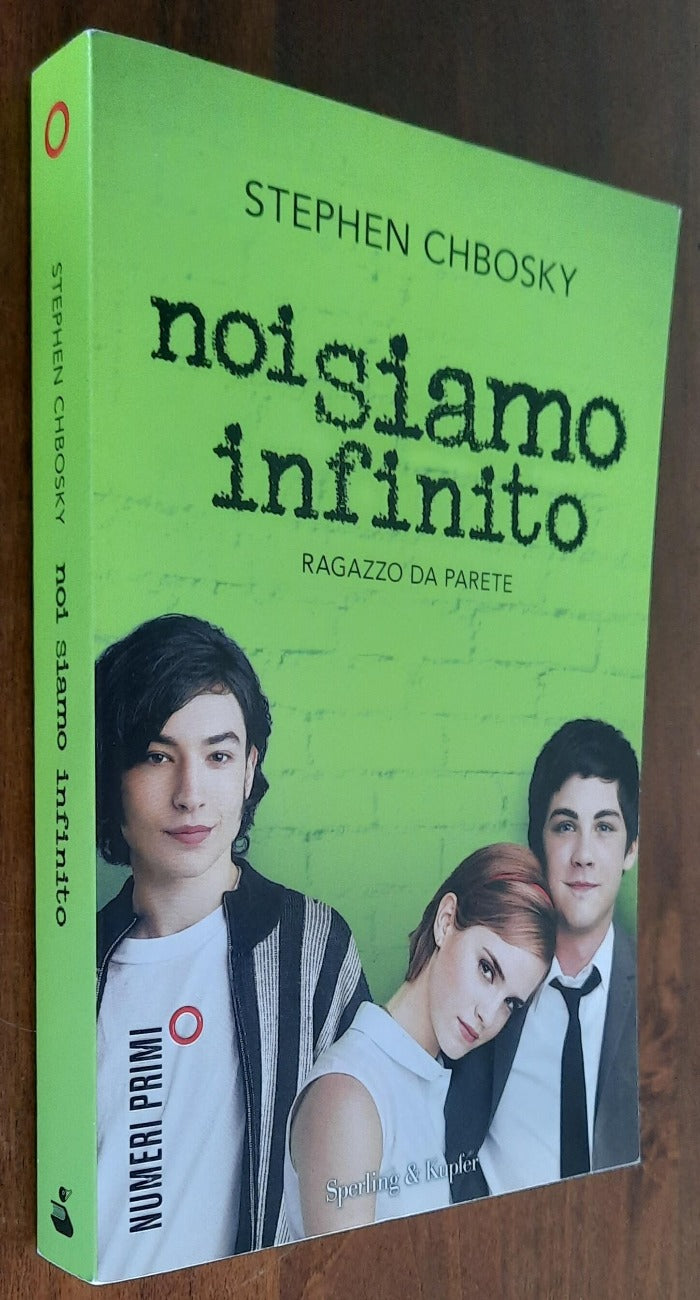 Noi siamo infinito. Ragazzo da parete