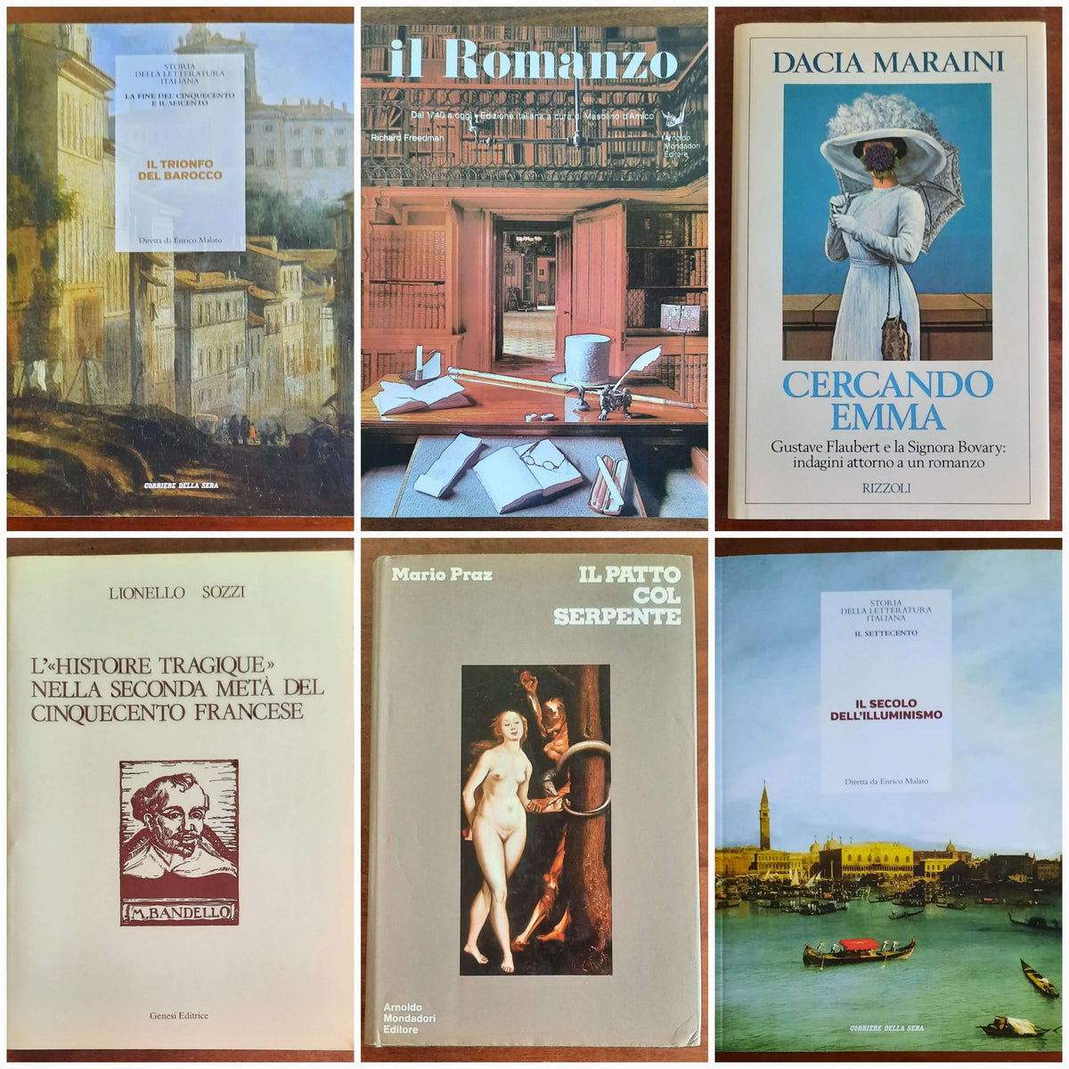 Libri di Letteratura - Storia e Critica Letteraria