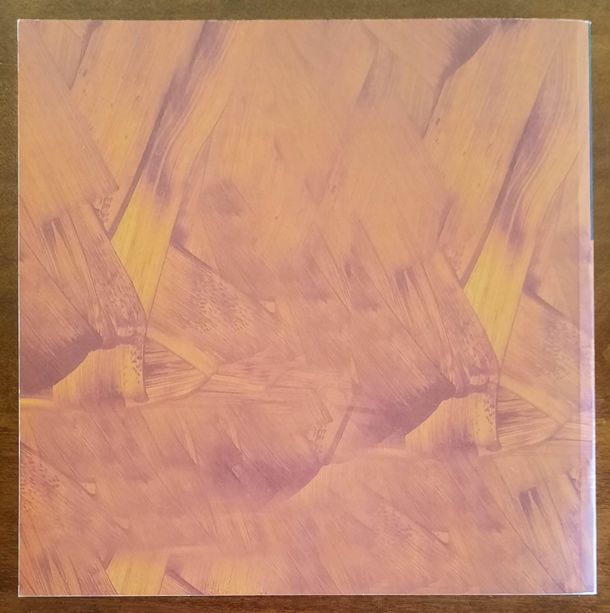 900 Un secolo di pittura nel Biellese - a Cura Di Bruno Pozzato