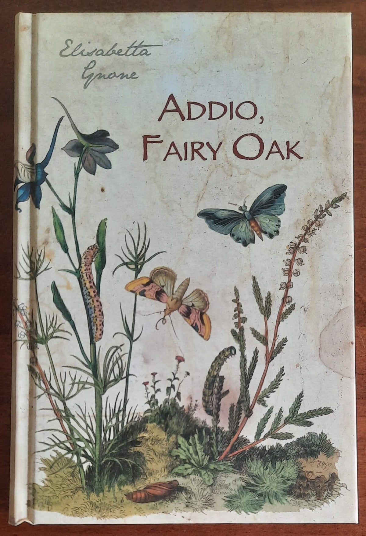 Addio, Fairy Oak - di Elisabetta Gnone - De Agostini