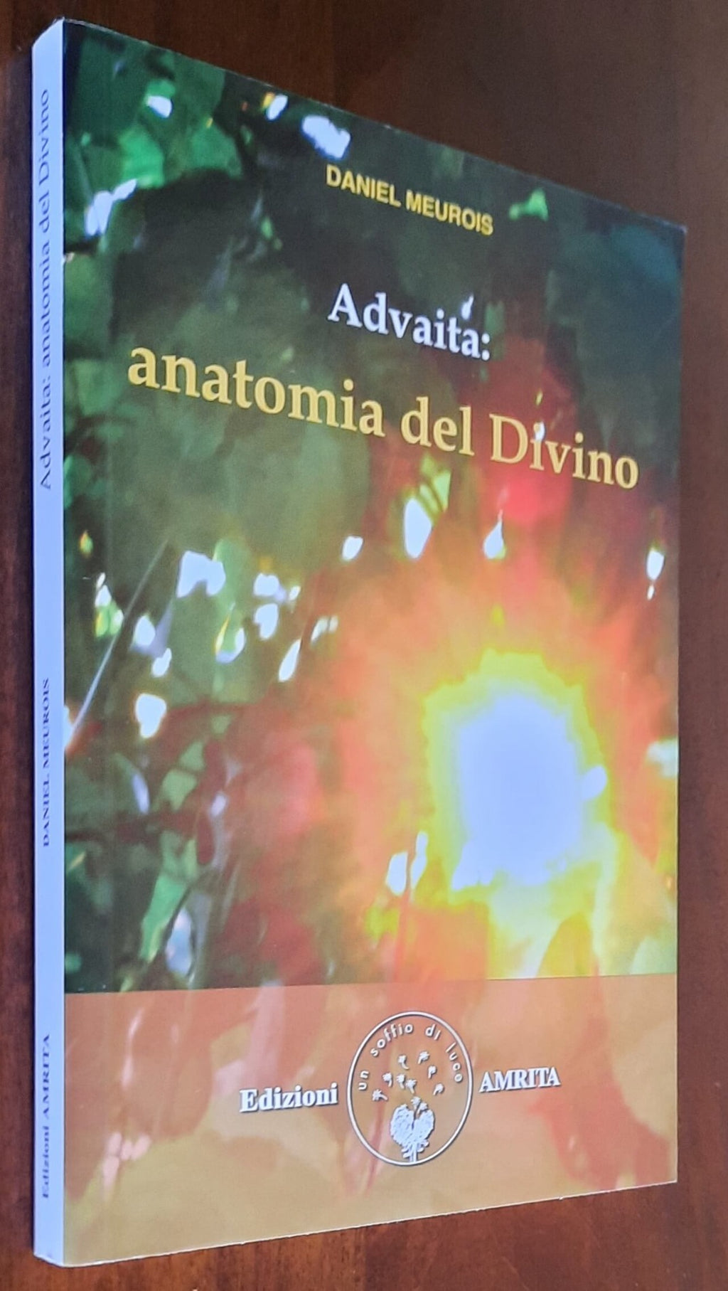 Advaita: anatomia del Divino - Edizioni Amrita
