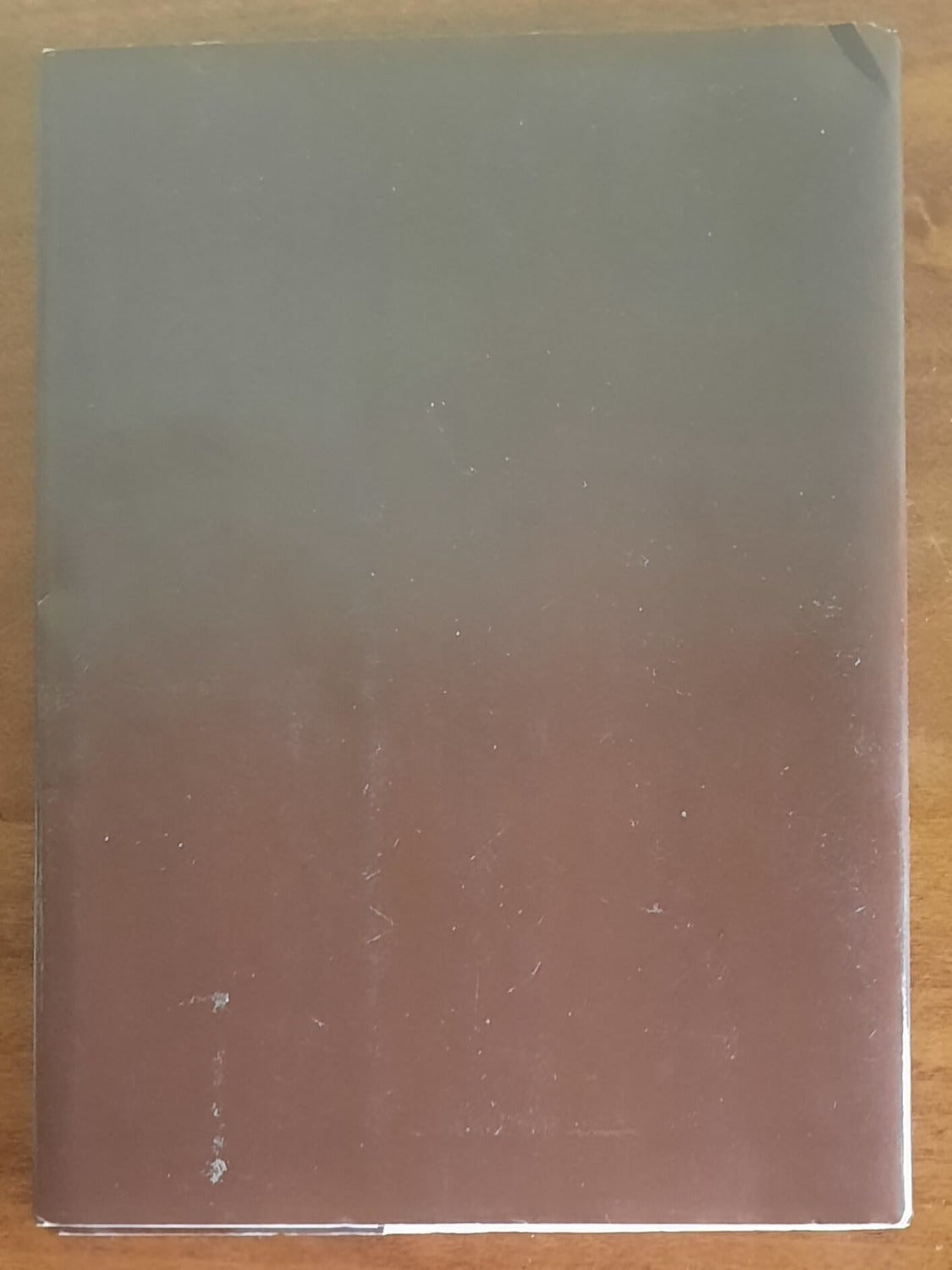 Al suono della campana. A.D. 1480 la conquista degli Statuti nella Contea di Masino