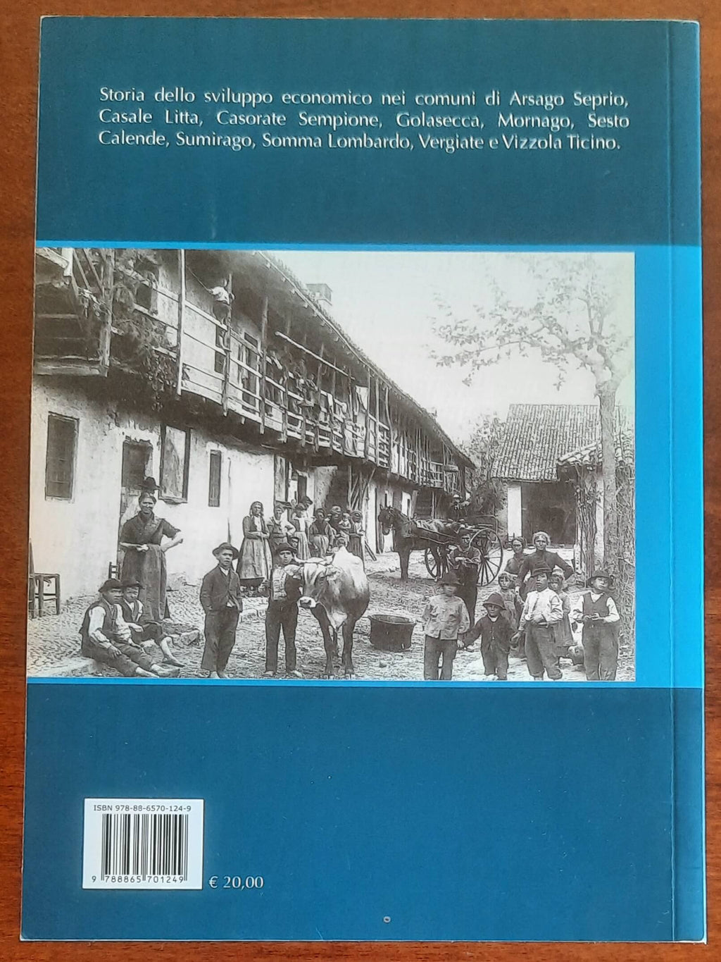 Alta valle del Ticino. Lo sviluppo economico (1815-1940)