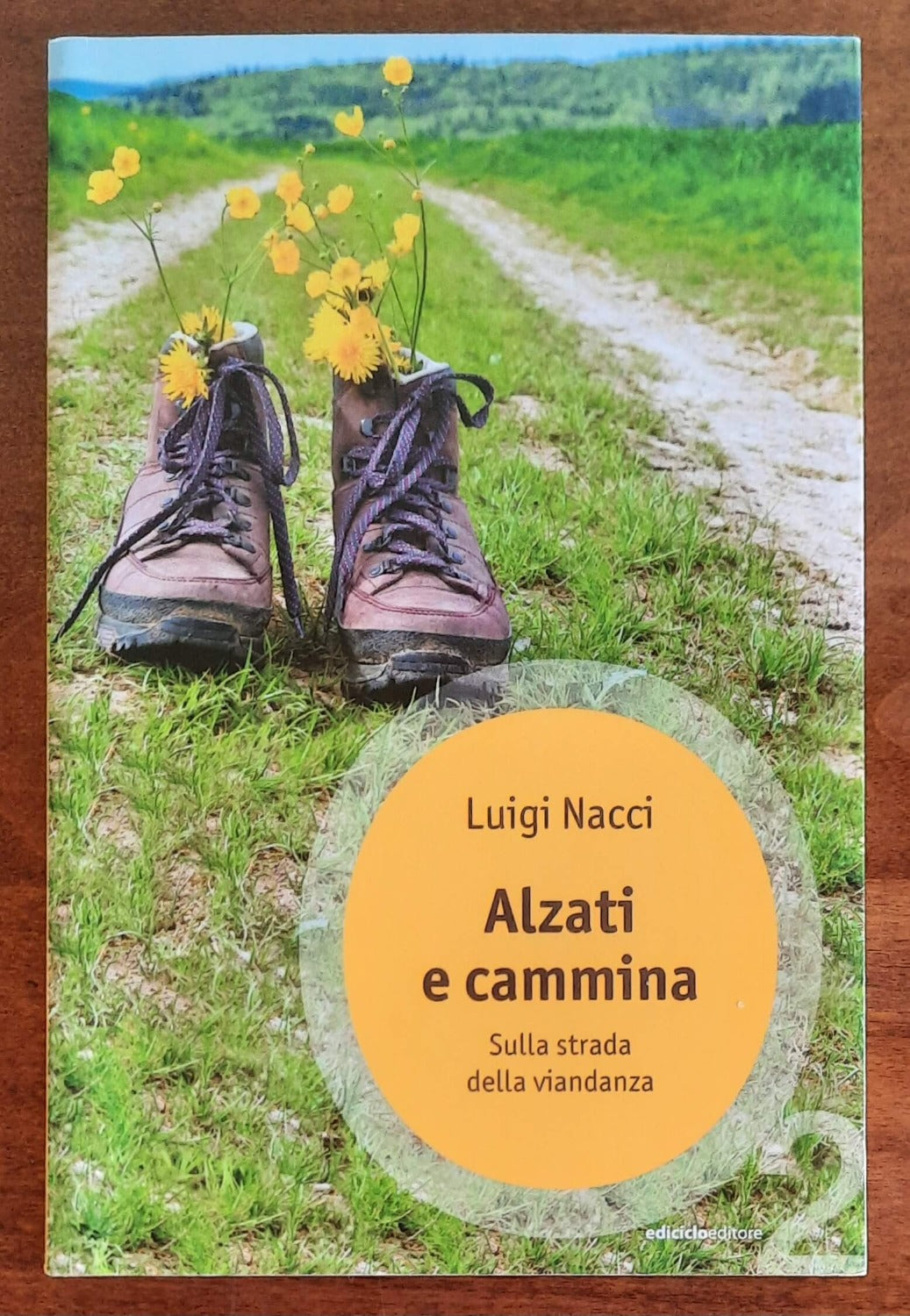 Alzati e cammina. Sulla strada della viandanza