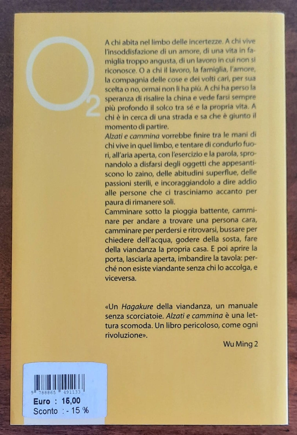 Alzati e cammina. Sulla strada della viandanza