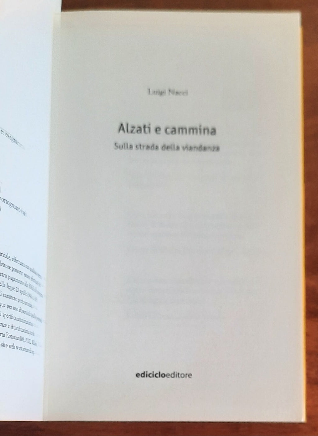 Alzati e cammina. Sulla strada della viandanza