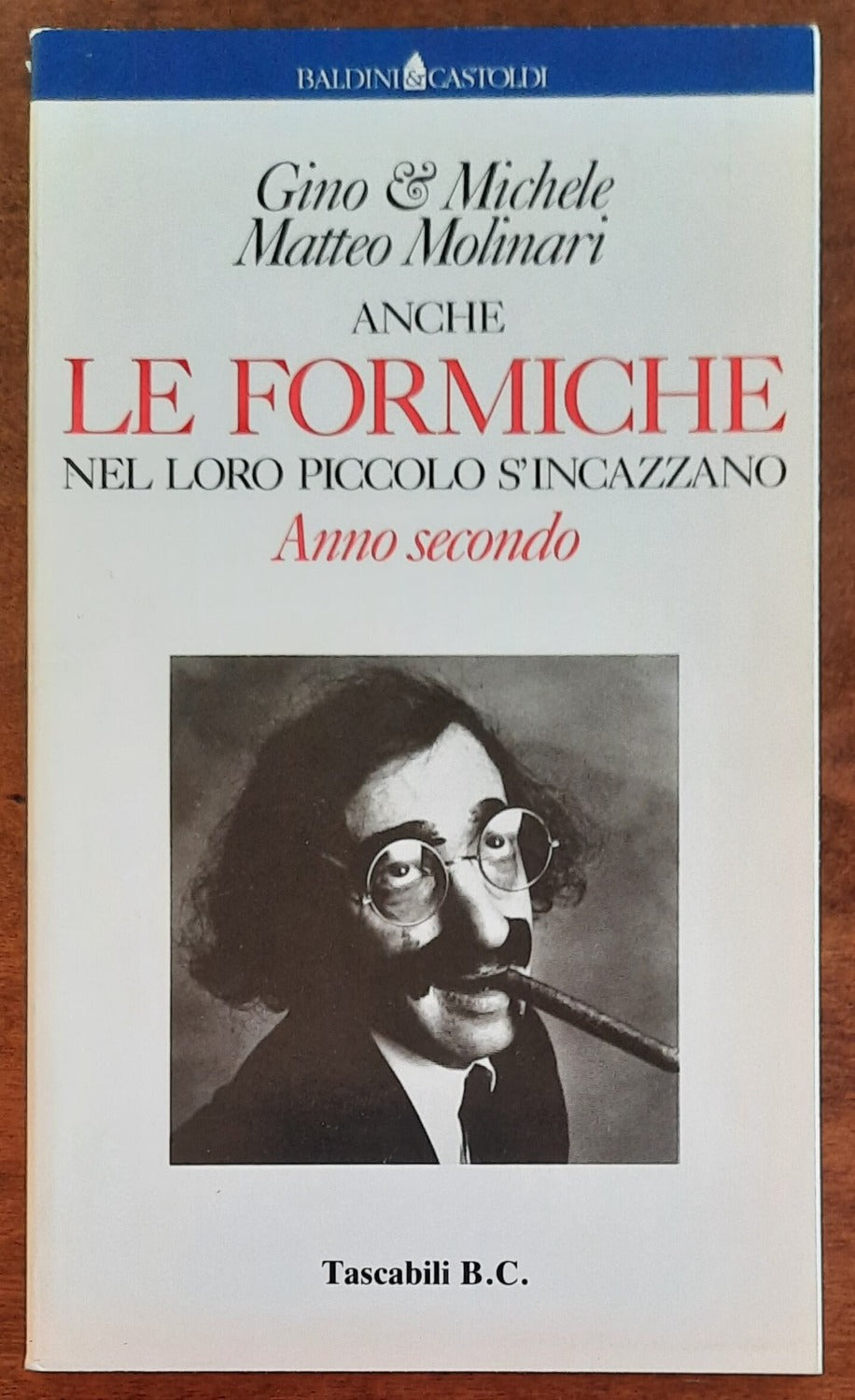 Anche le formiche nel loro piccolo s’incazzano. Anno secondo - Baldini e Castoldi