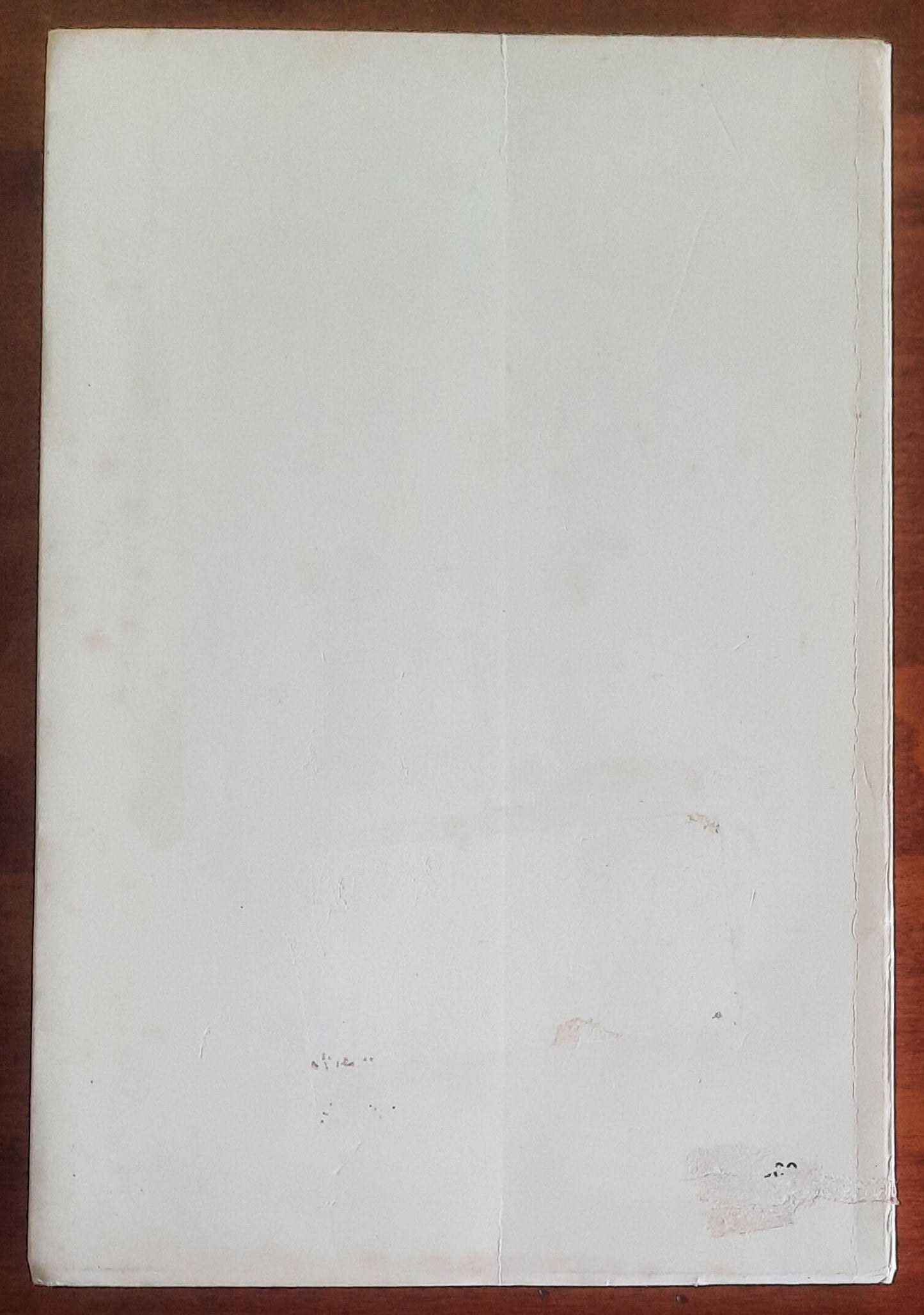 Andavamo con le toppe. Album di famiglia di un piombinese e di tanti come lui