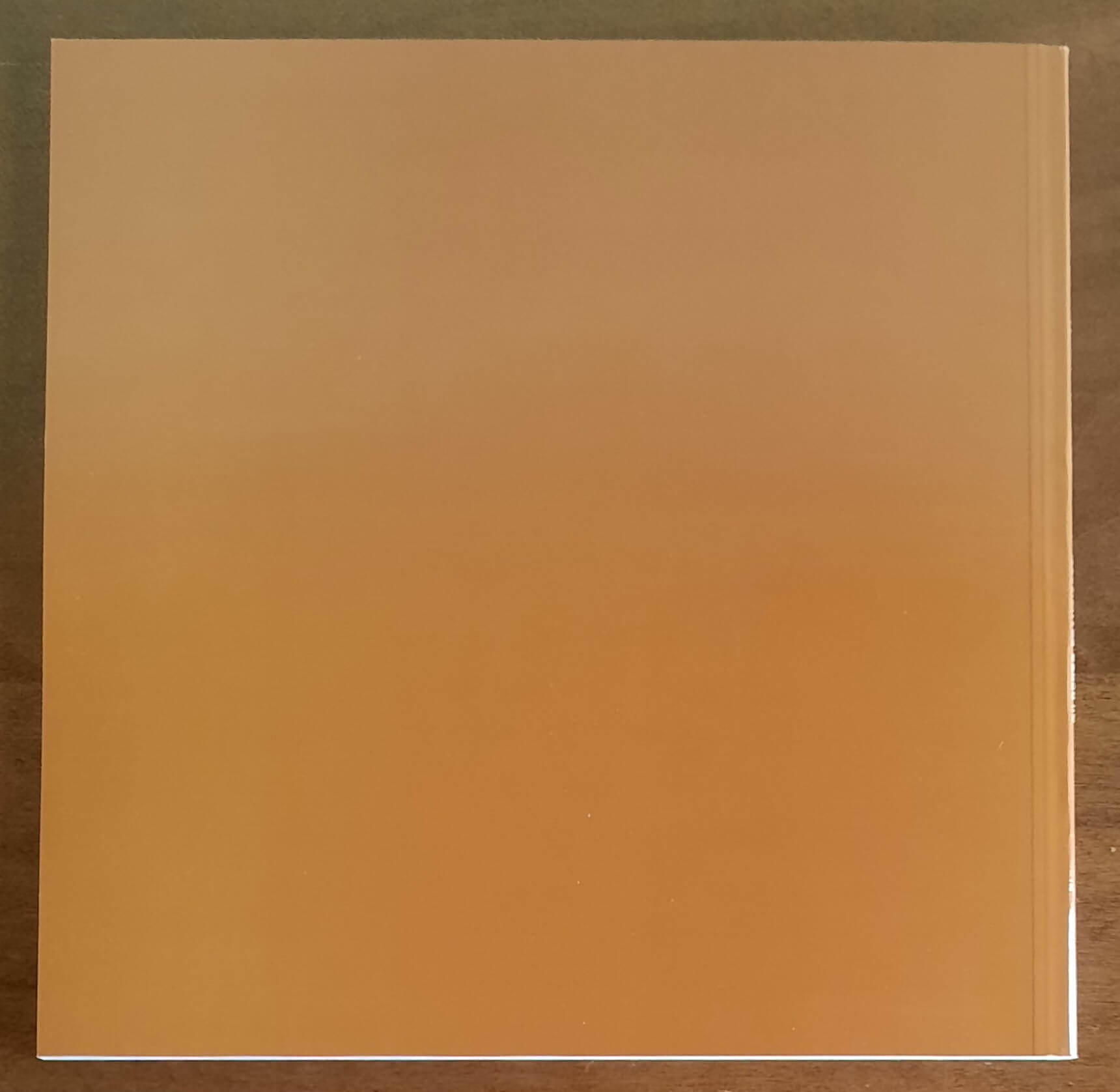 Angoli di Salussola visti da Gilberto Francisetti