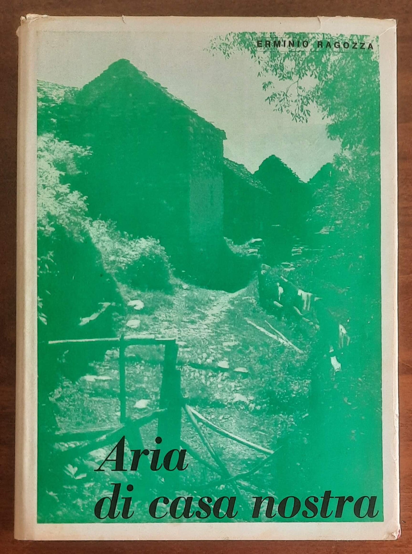Aria di casa nostra. Un comune ossolano Premosello-Chiovenda nella sua storia e nei suoi personaggi