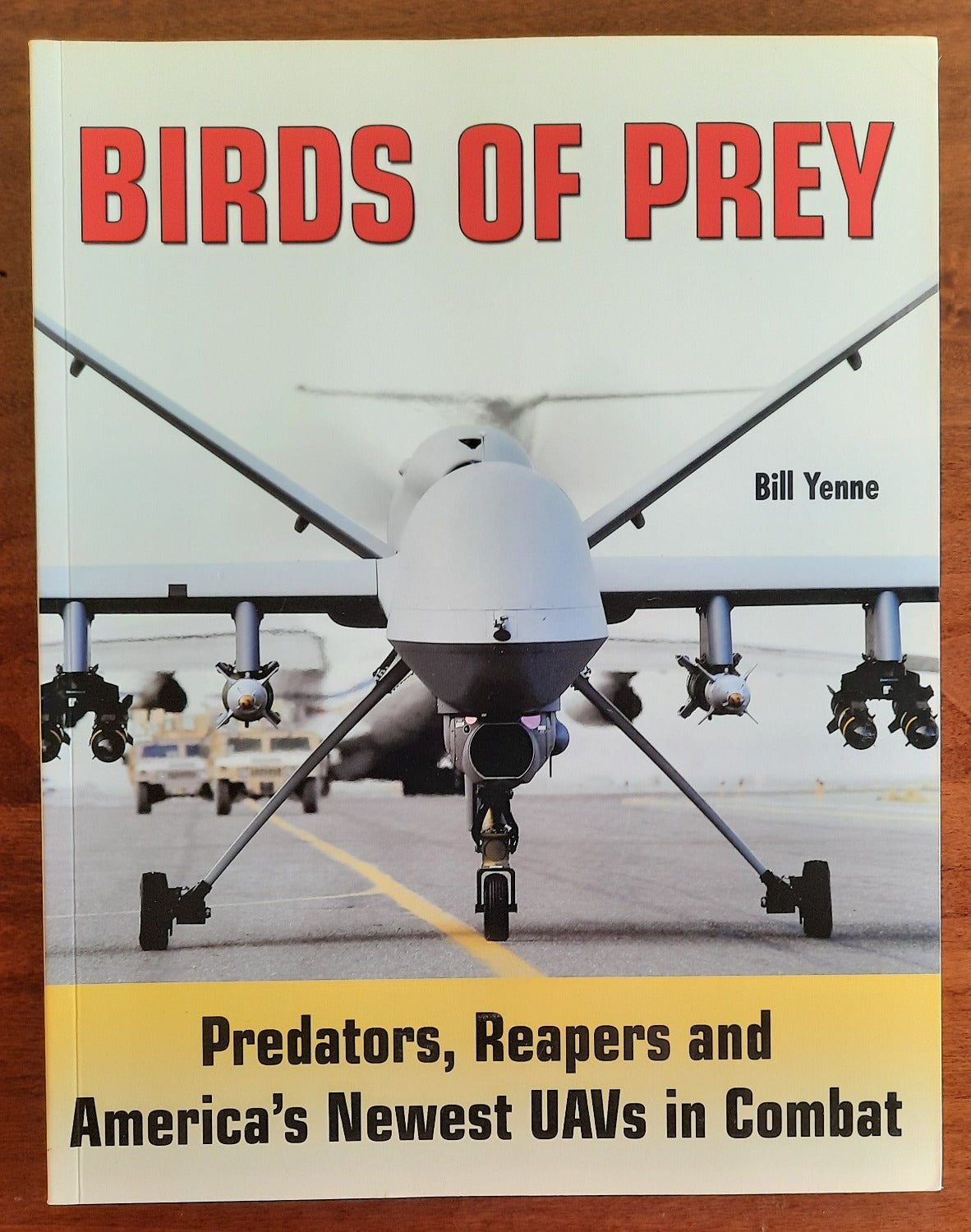 Birds of Prey: Predators, Reapers and America's Newest UAVs in Combat