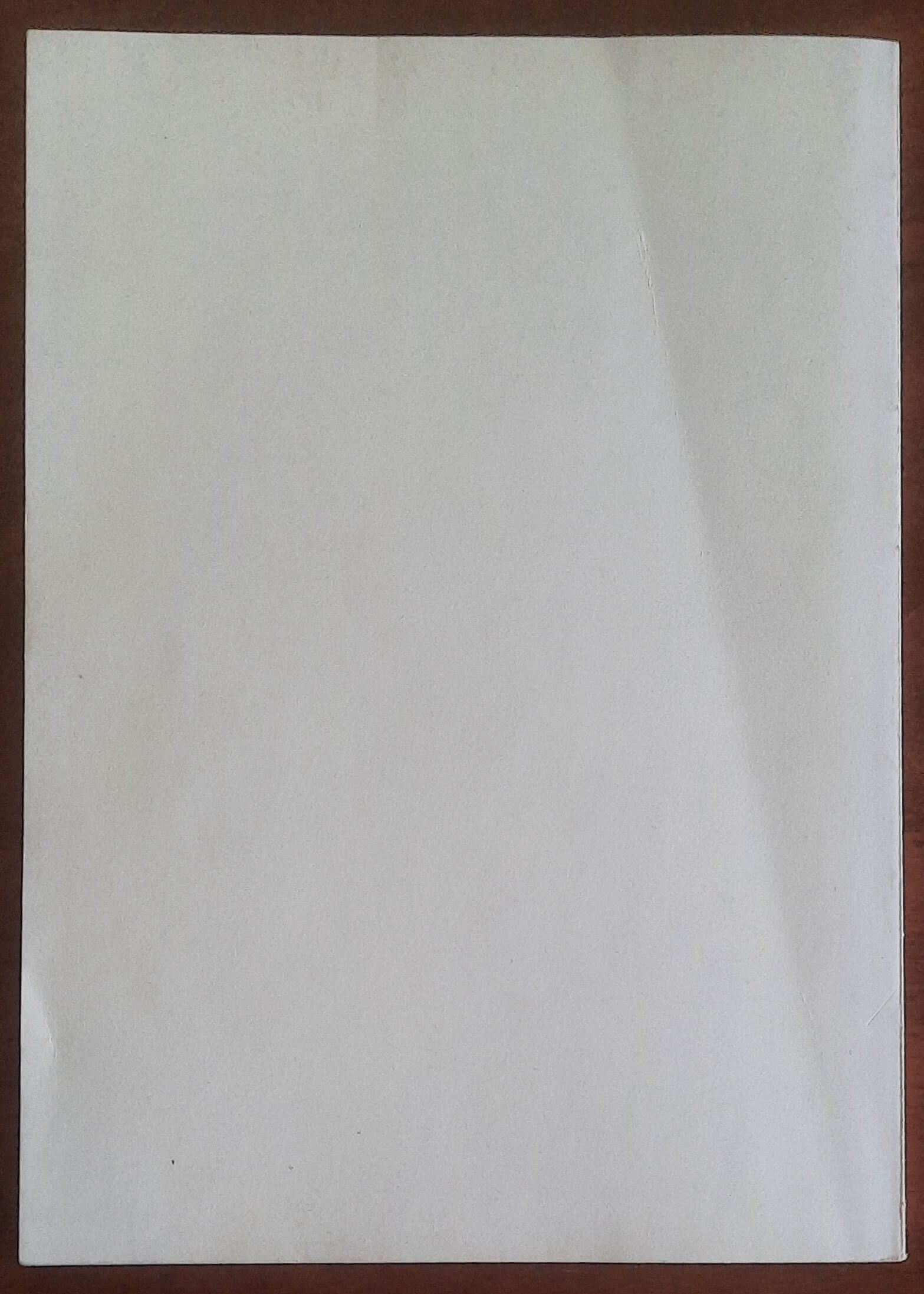 Borgo Pila e la chiesa di S. Zita in Genova