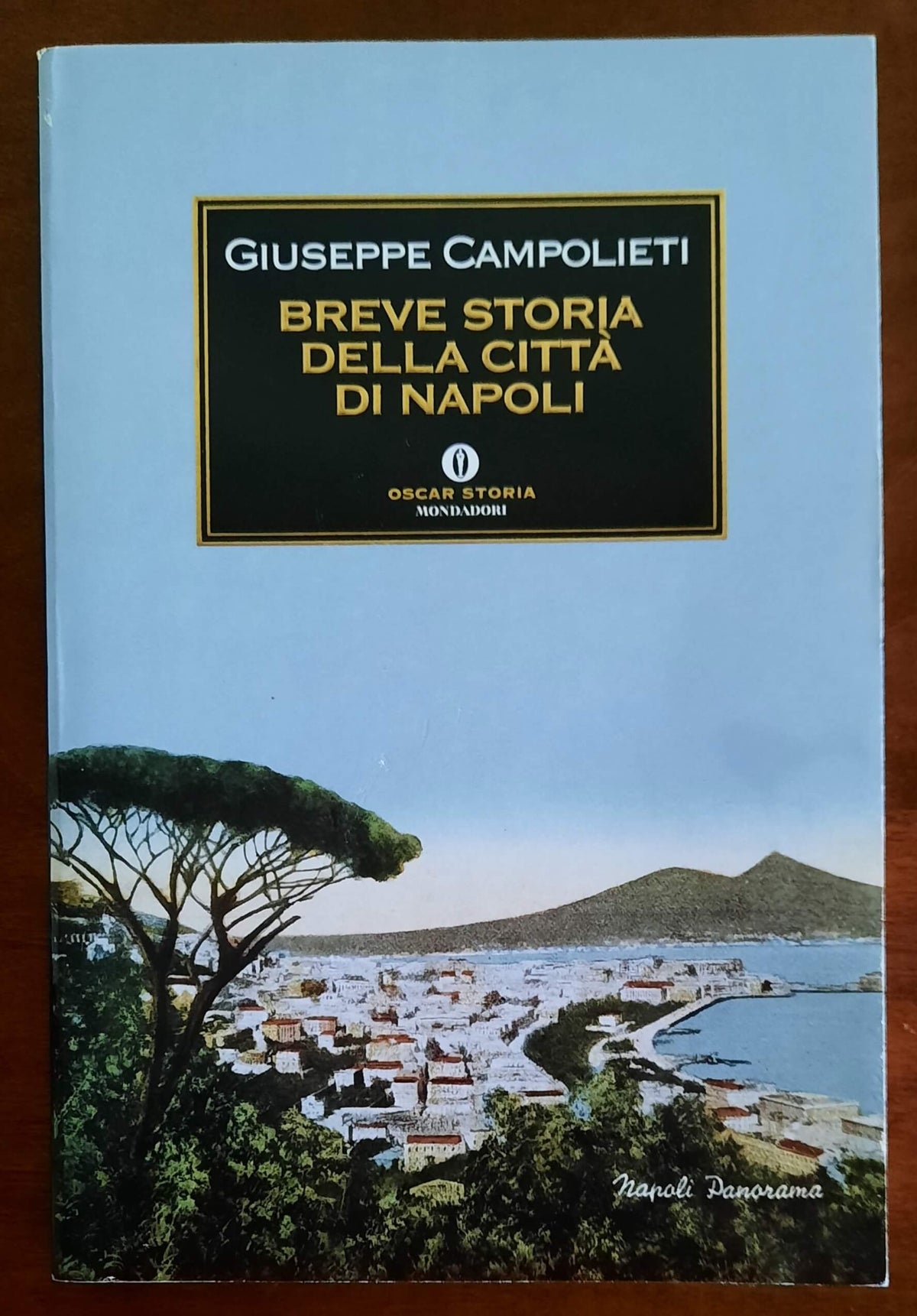 Breve storia della città di Napoli - Mondadori Oscar