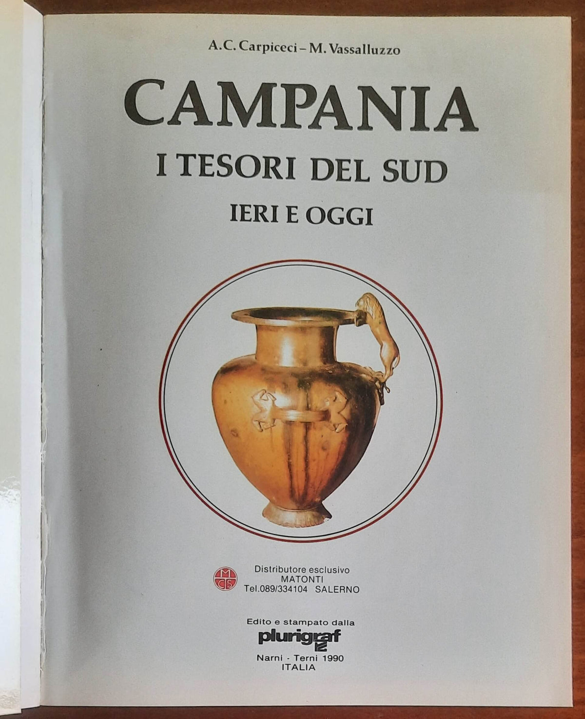 Campania. I tesori del sud. Ieri e oggi - Plurigraf