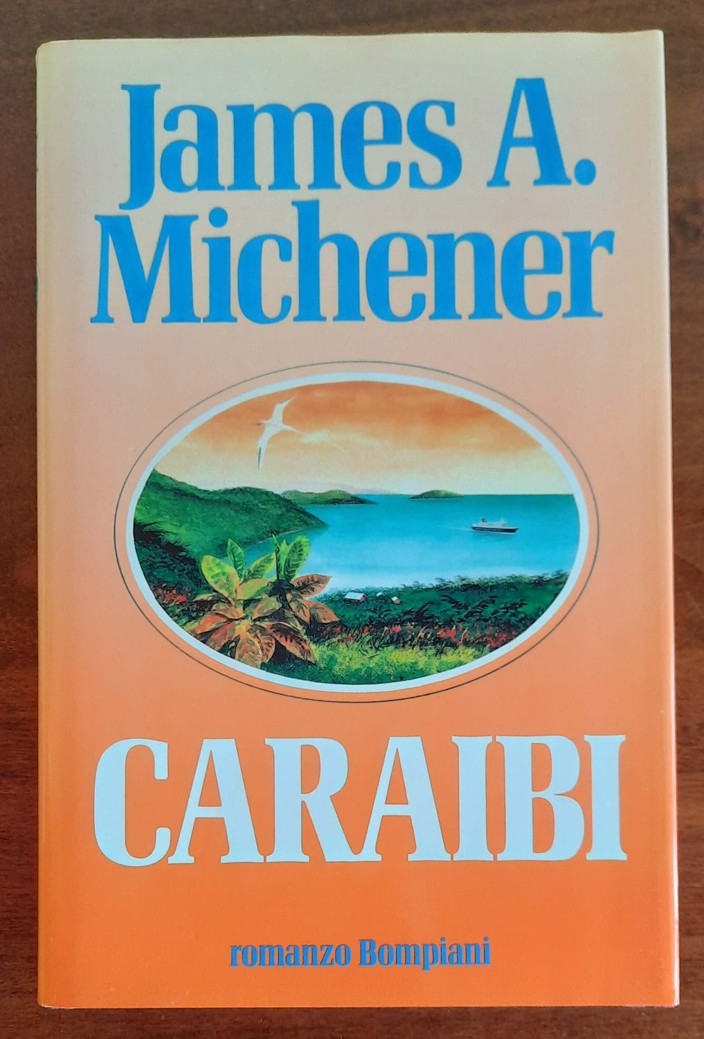 Caraibi - Bompiani - 1991 - Libreria Biellese