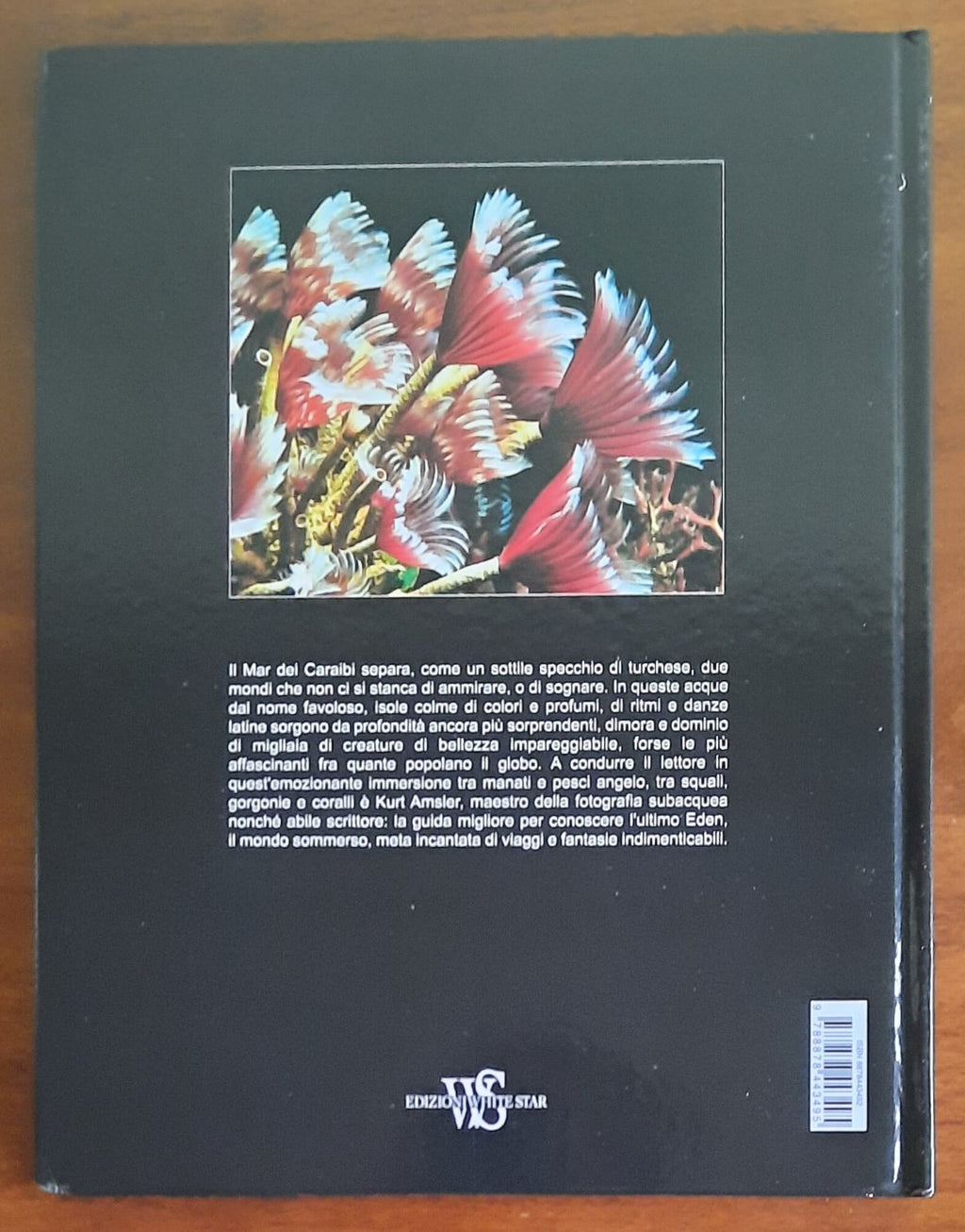 Caraibi - National Geographic - 2006