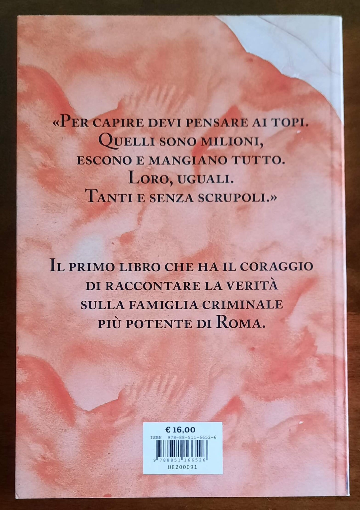 Casamonica. Viaggio nel mondo parallelo del clan che ha conquistato Roma