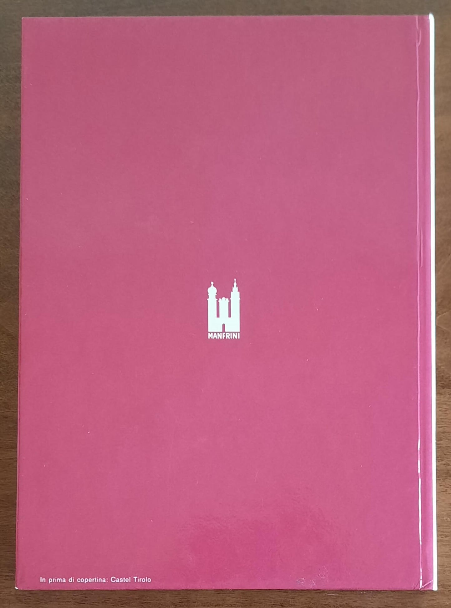 Castelli dell’Alto Adige. Castelli, rocche, residenze nobiliari, conventi fortificati e città murate dell’Alto Adige