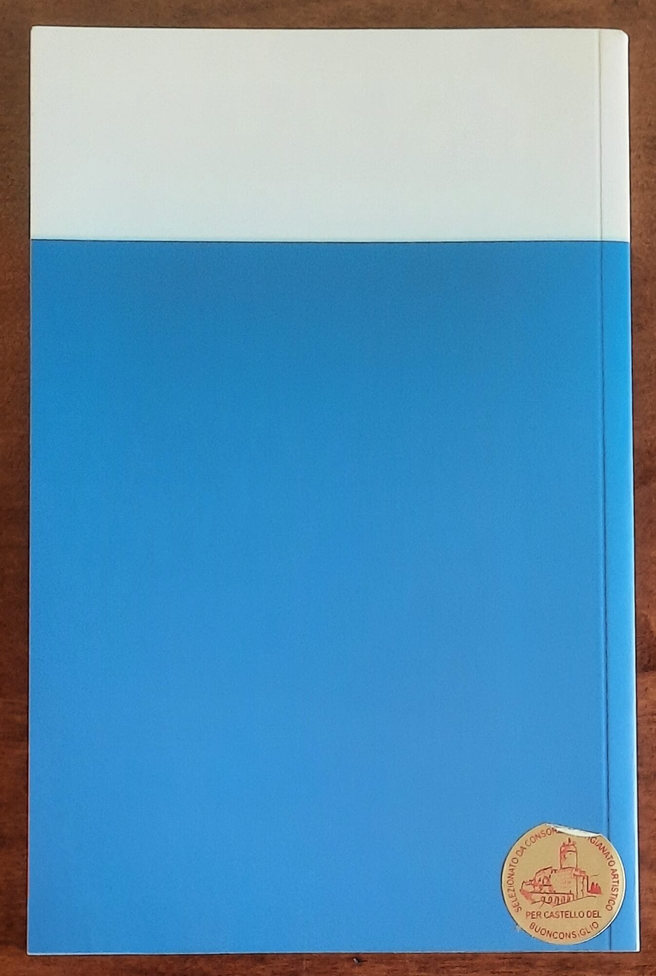 Castello del Buonconsiglio. Guida alla visita - Via Della Terra Editore