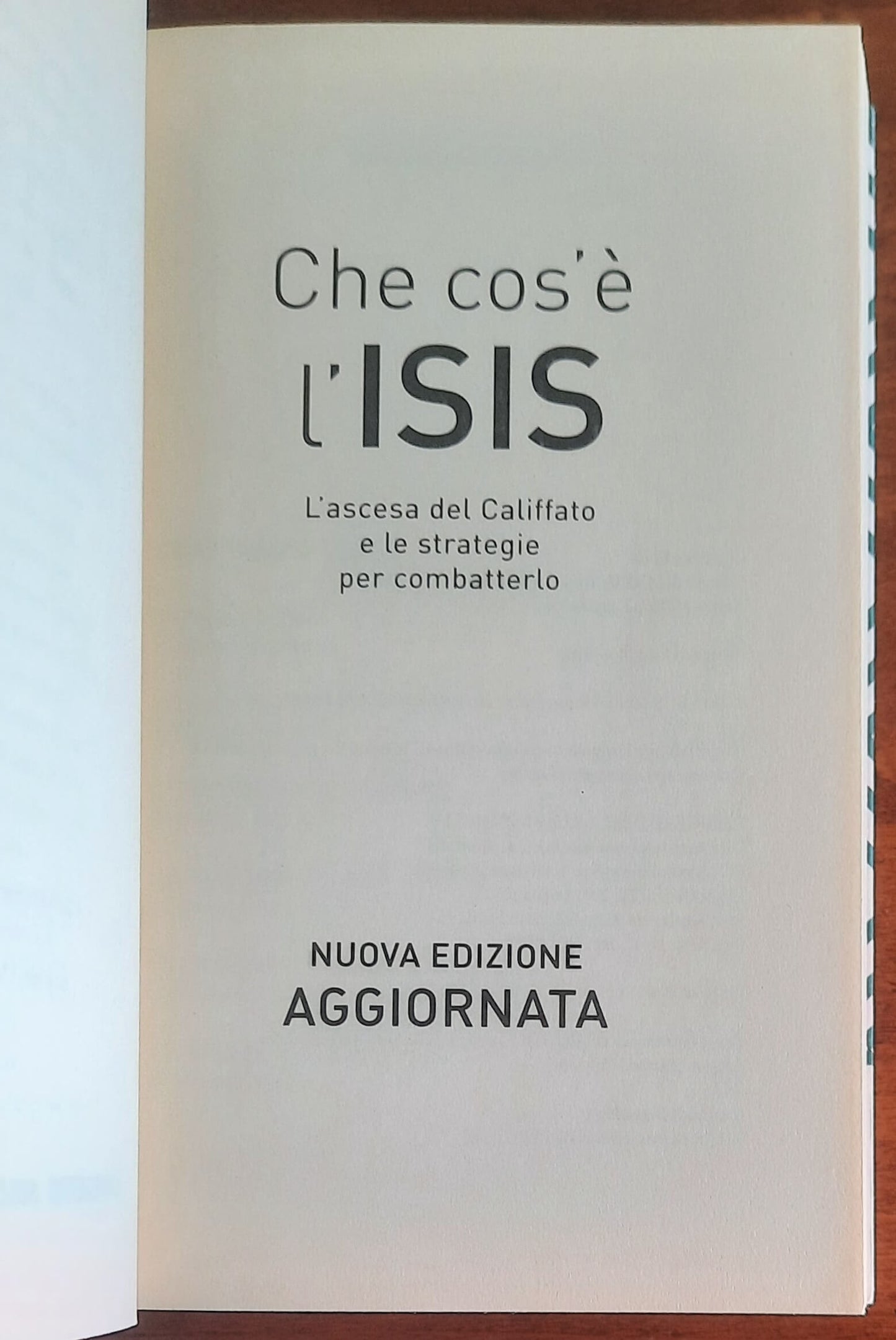 Che cos'è l'Isis. L'ascesa del Califfato e le strategie per combatterlo