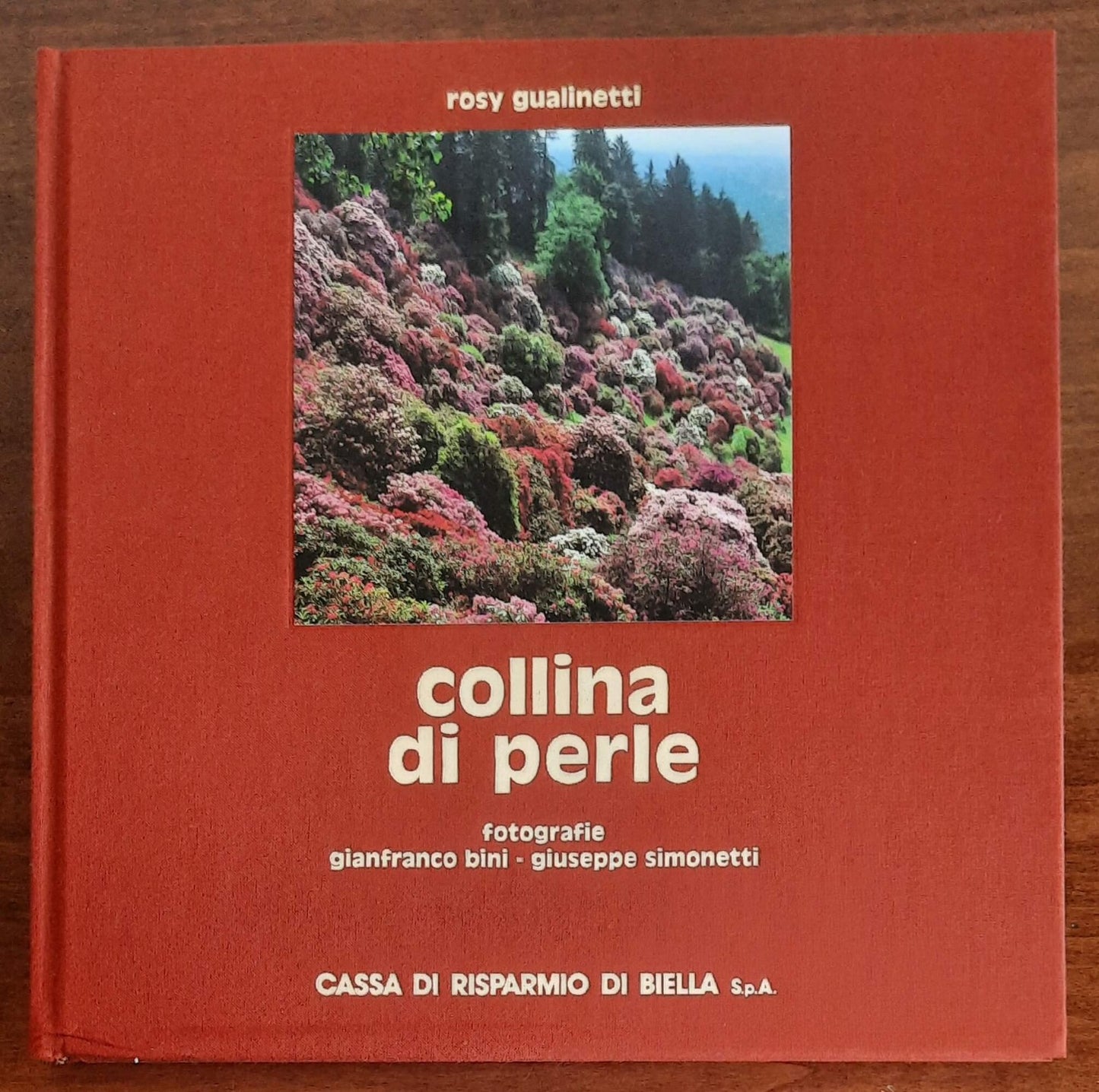 Collina di perle (Parco Burcina)