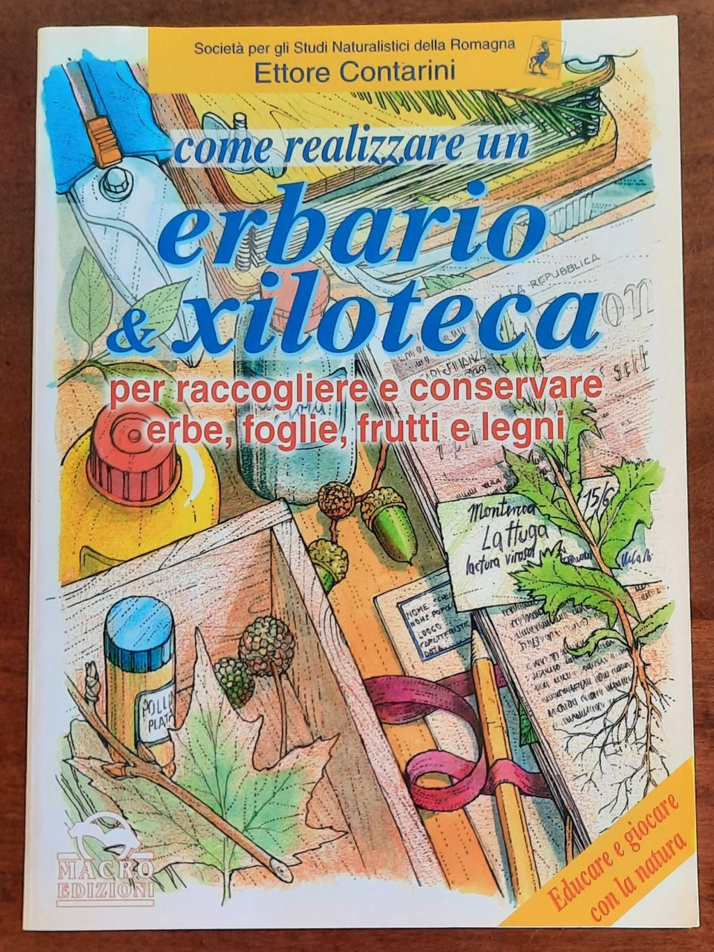 Come realizzare un erbario e xiloteca per raccogliere e conservare erbe, foglie, frutti e legni