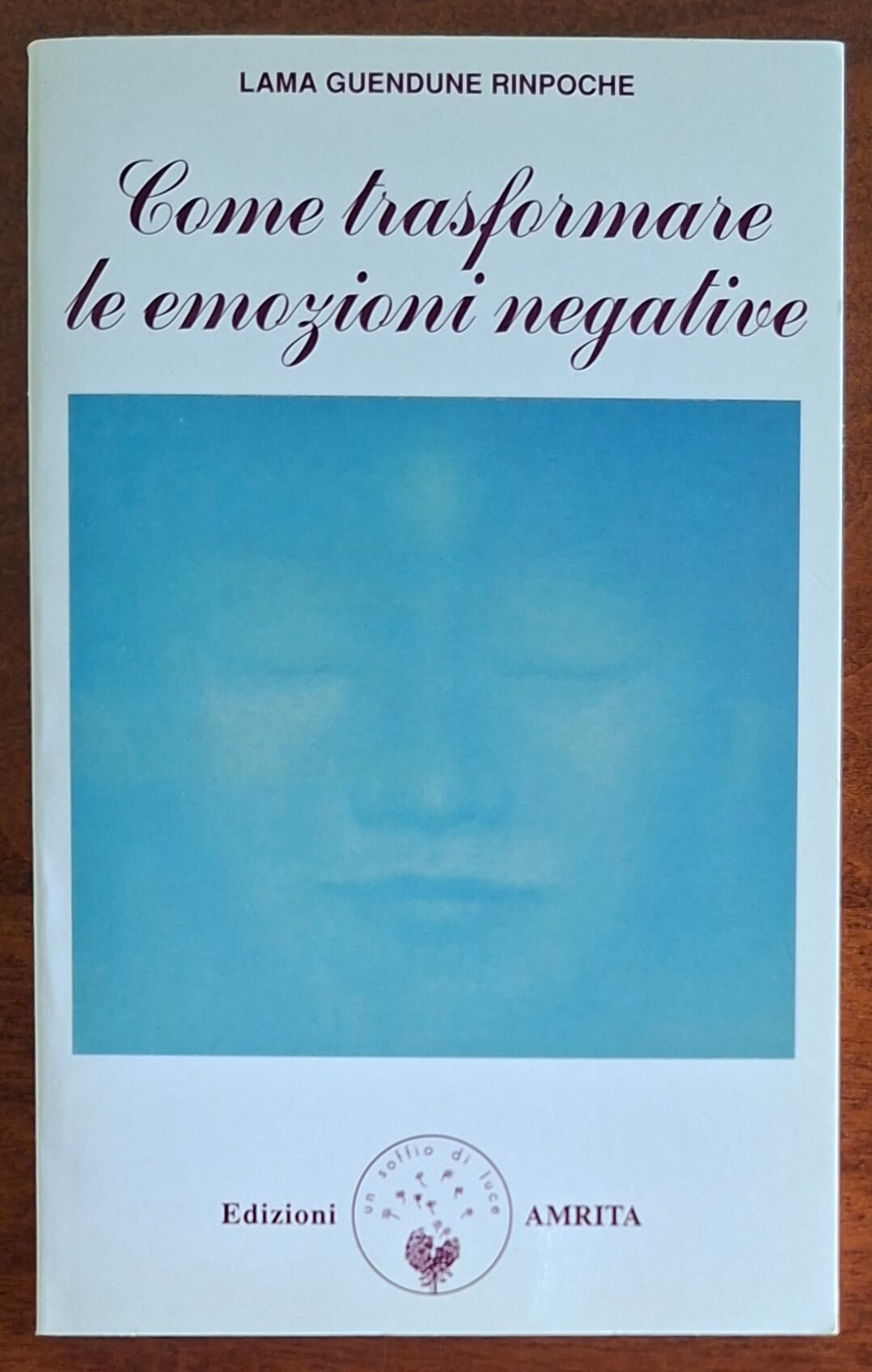 Come trasformare le emozioni negative - Edizioni Amrita