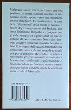 Come trasformare le emozioni negative - Edizioni Amrita
