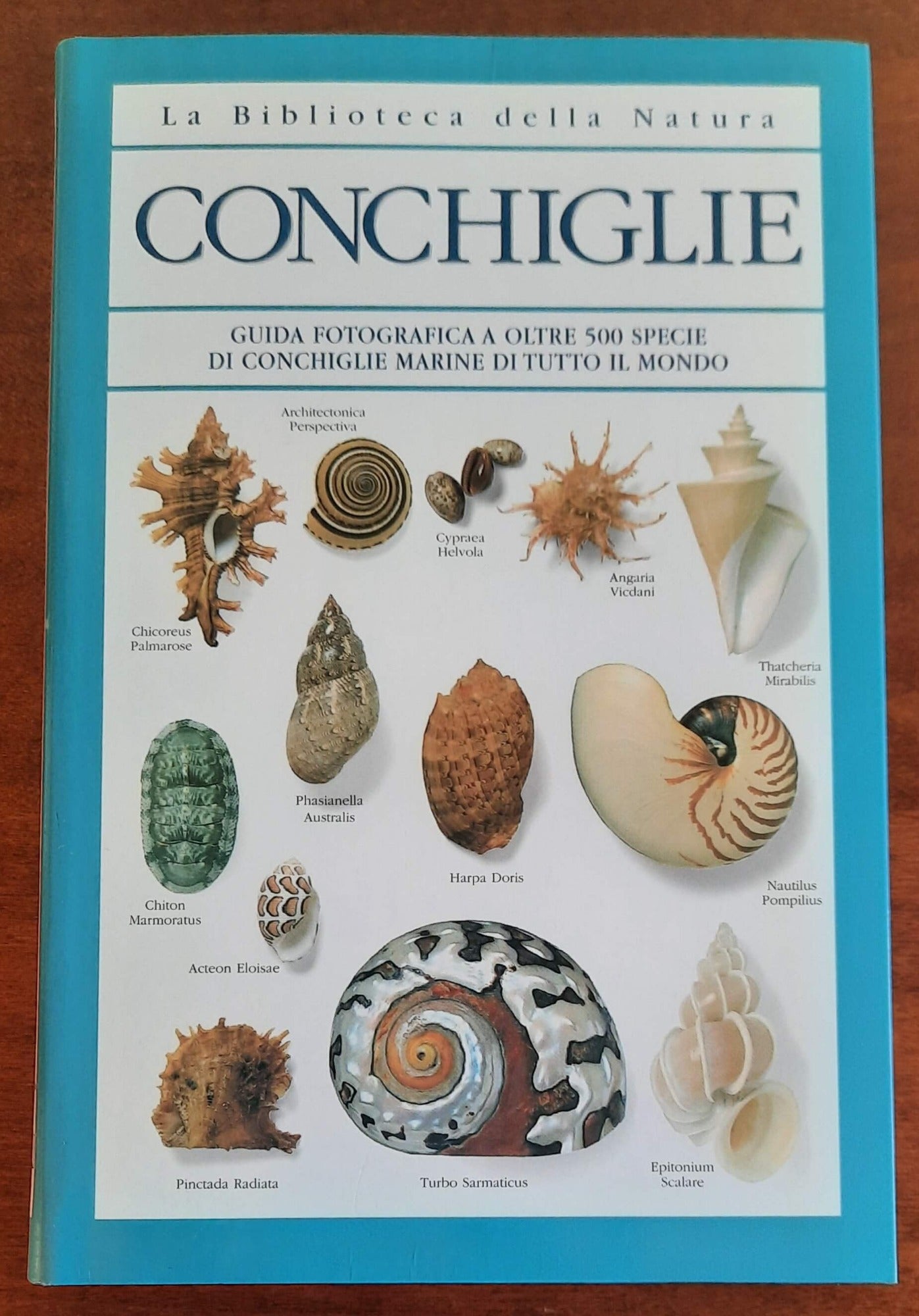 Conchiglie. Guida fotografica a oltre 500 specie di conchiglie marine di tutto il mondo