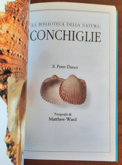 Conchiglie. Guida fotografica a oltre 500 specie di conchiglie marine di tutto il mondo