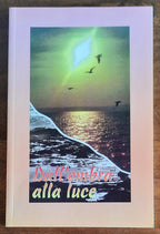Dall’ombra alla luce. Venerabile Liduina Meneguzzi - Libreria Biellese