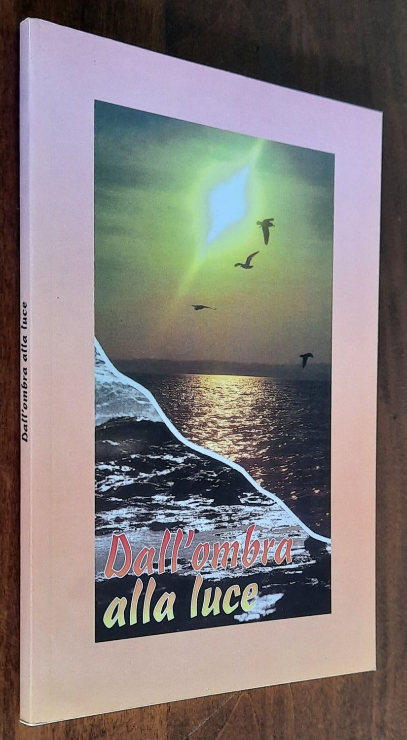 Dall’ombra alla luce. Venerabile Liduina Meneguzzi - Libreria Biellese