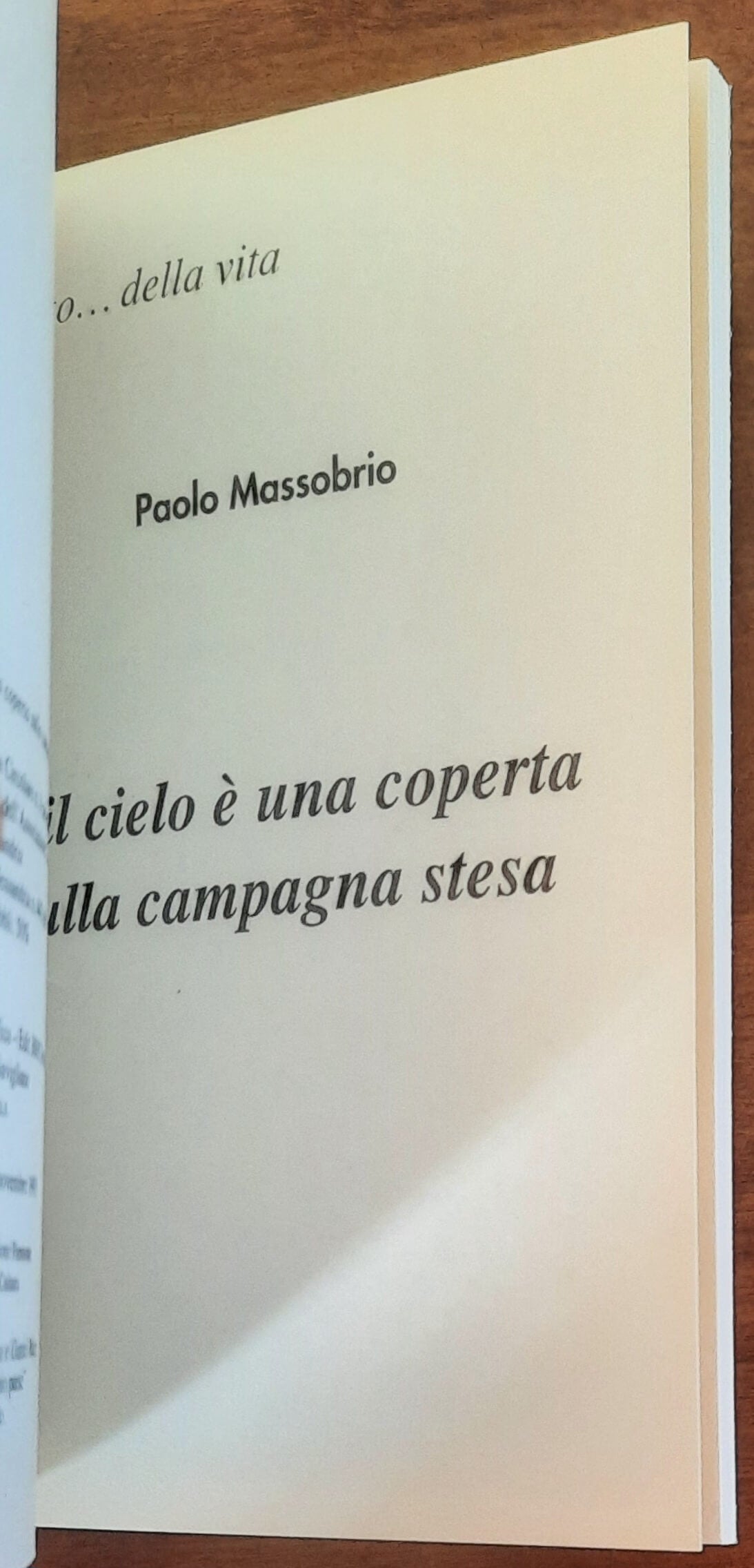 E il cielo è una coperta sulla campagna stesa - di Paolo Massobrio