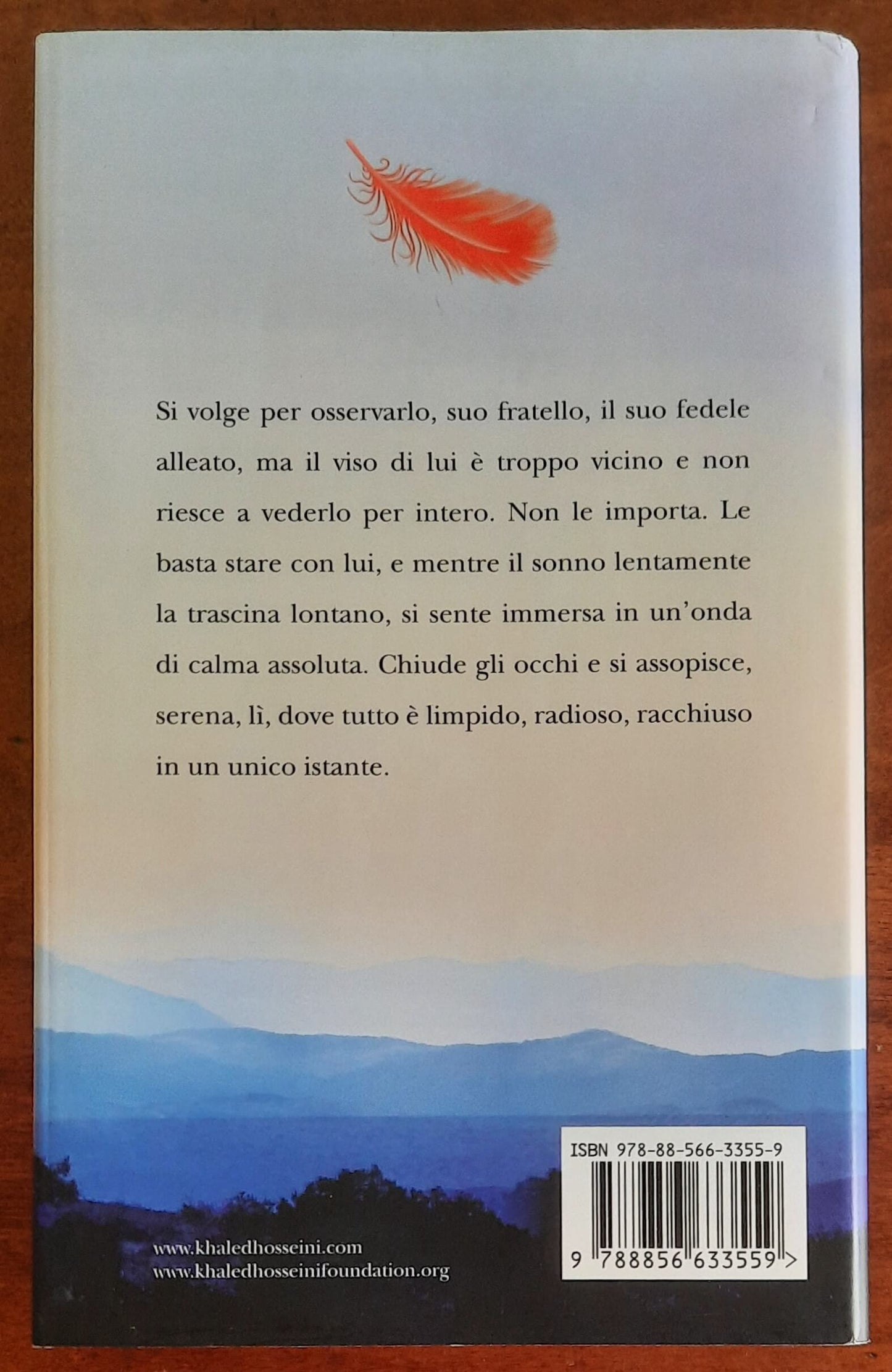 E l’eco rispose - di Khaled Hosseini - Piemme