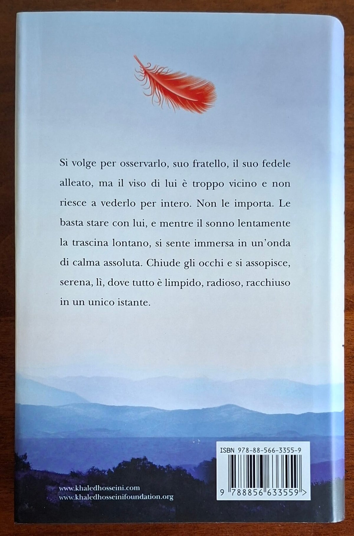 E l’eco rispose - di Khaled Hosseini - Piemme