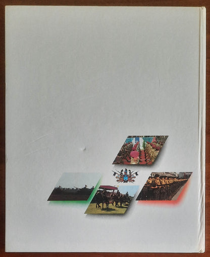 Esercito e Paese. Un anno di vita in comune - Stato Maggiore dell'Esercito